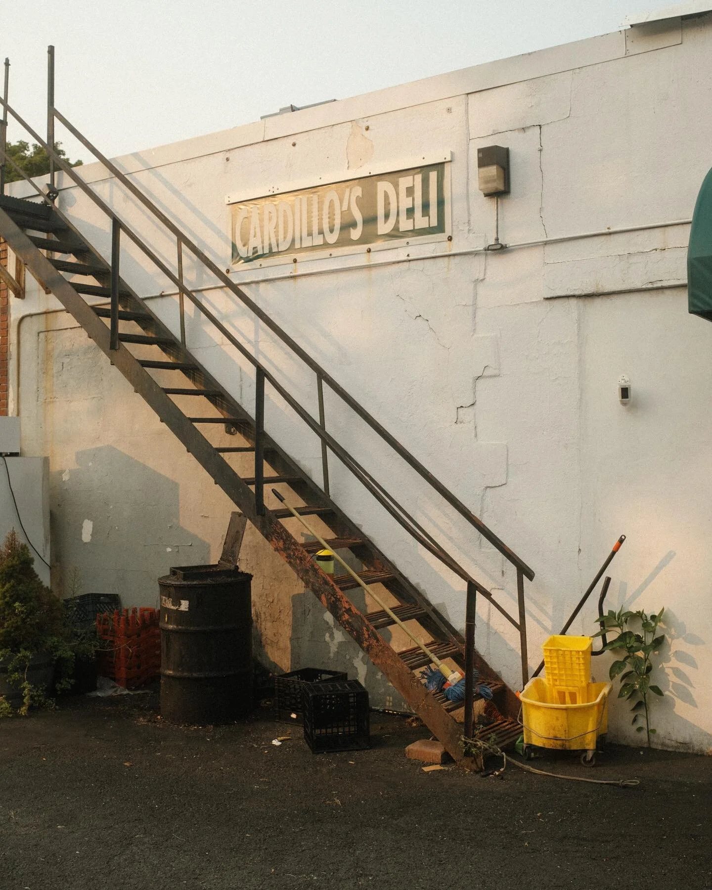 a club sandwich or bust. suburban summer pt. 3