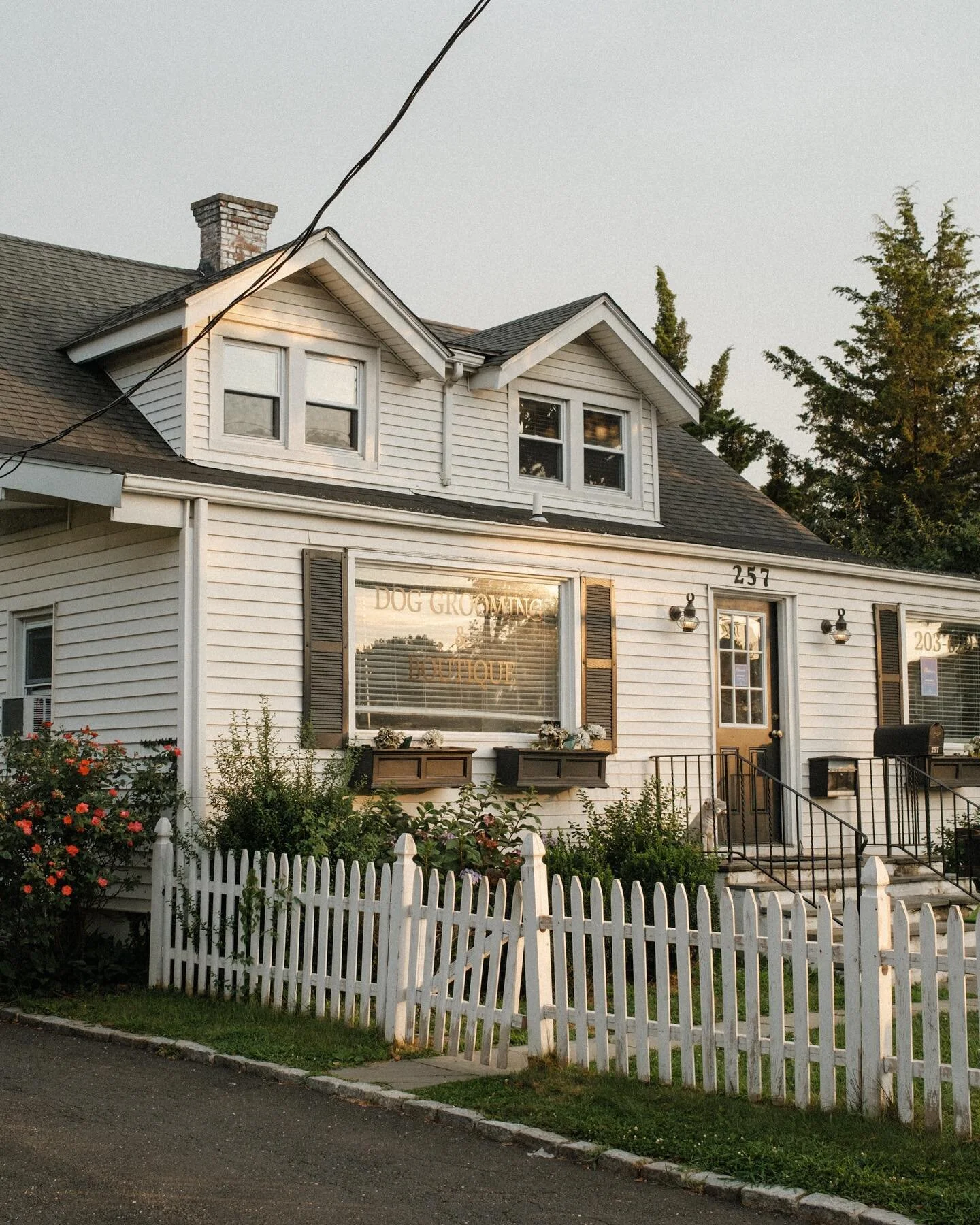 suburban summer pt. 1