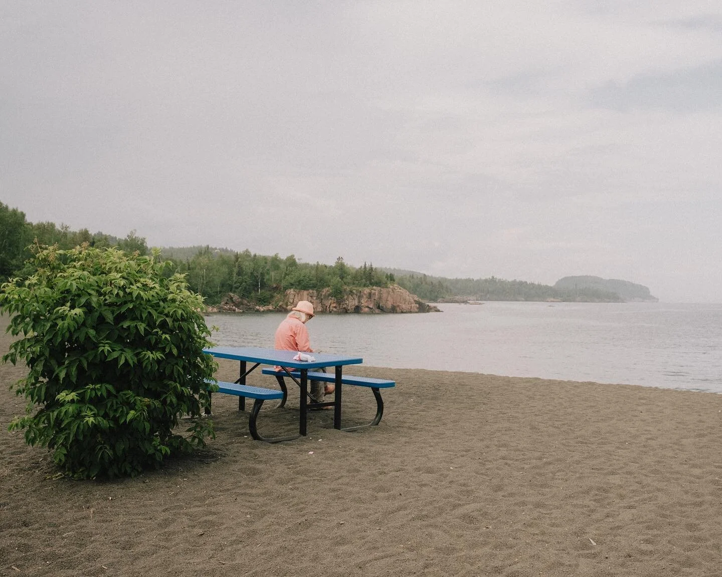 a good spot to read.