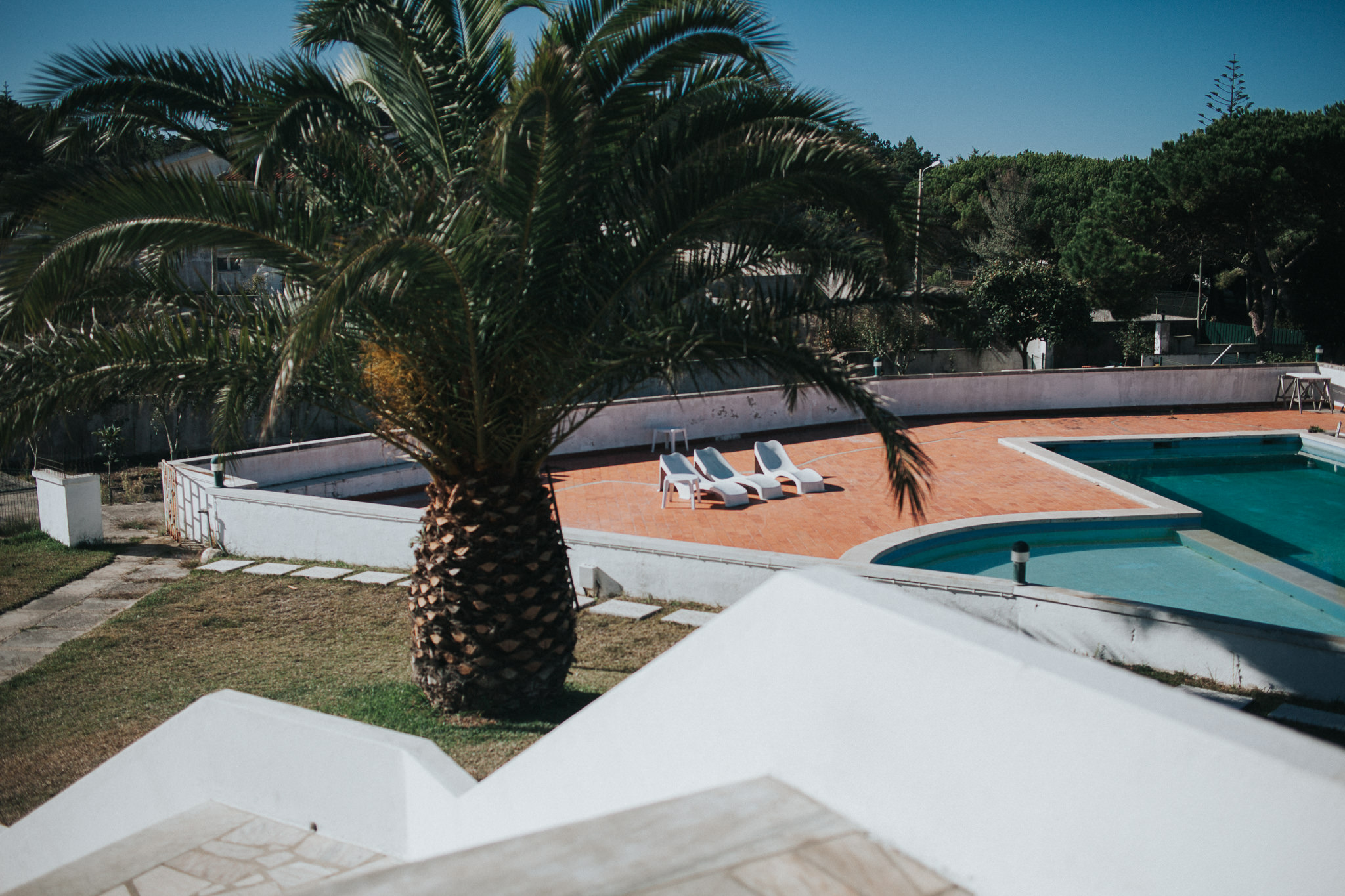 fontanelas-palm-close-to-pool.jpg