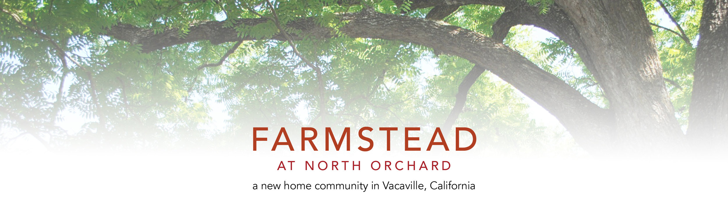 FARMSTEAD TITLE BAND.jpg