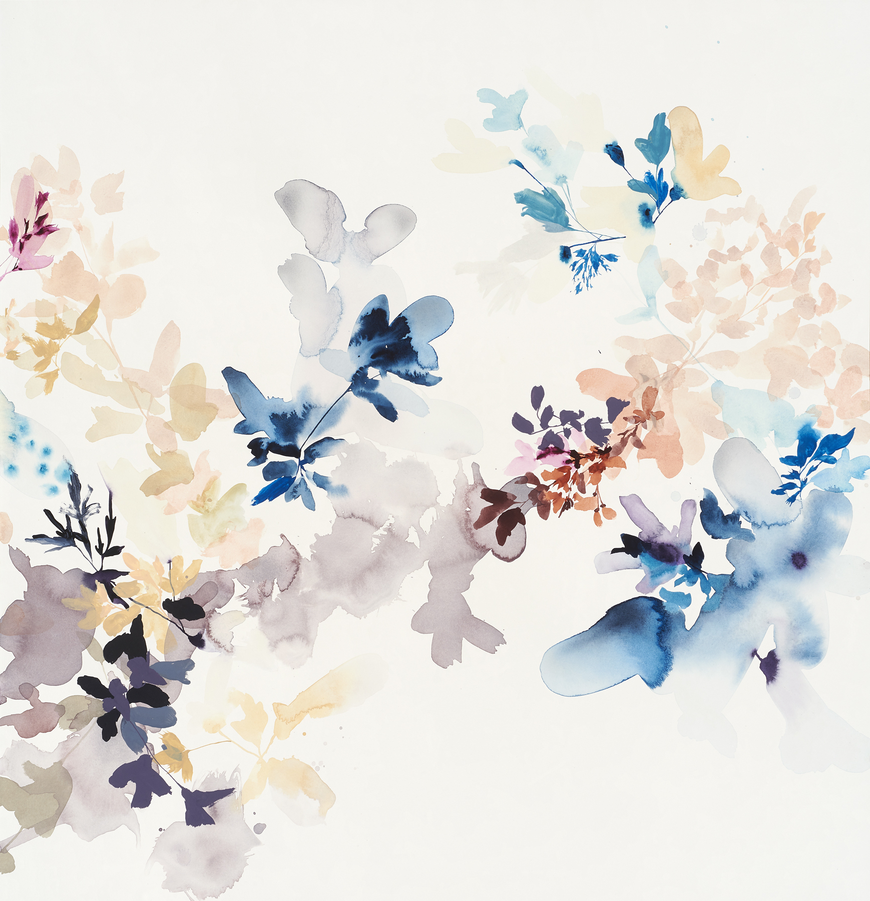 Wildflower Study -6C, 2019, mixed media on paper, 30 x 29"