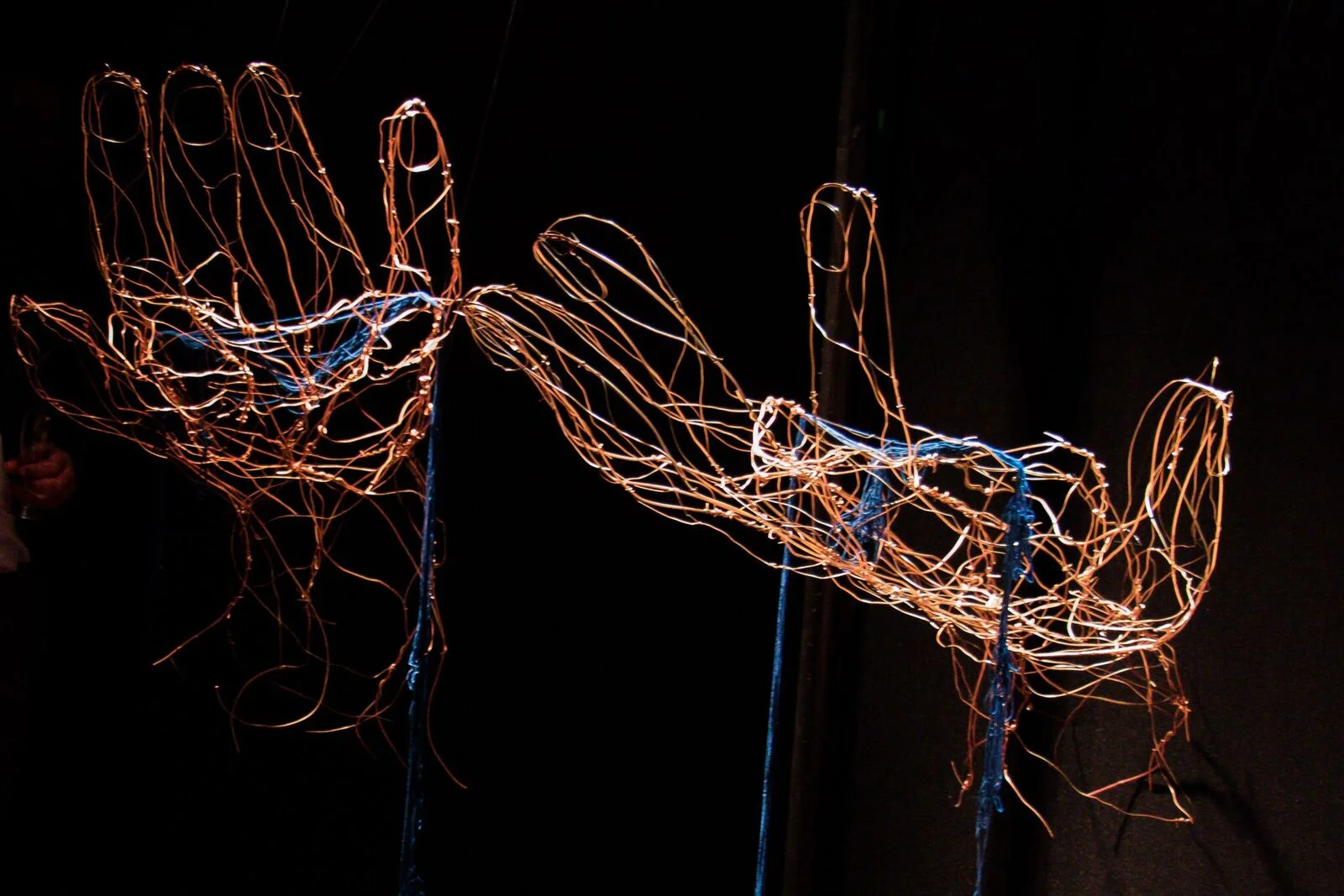 "Les mains" de Julie Joly