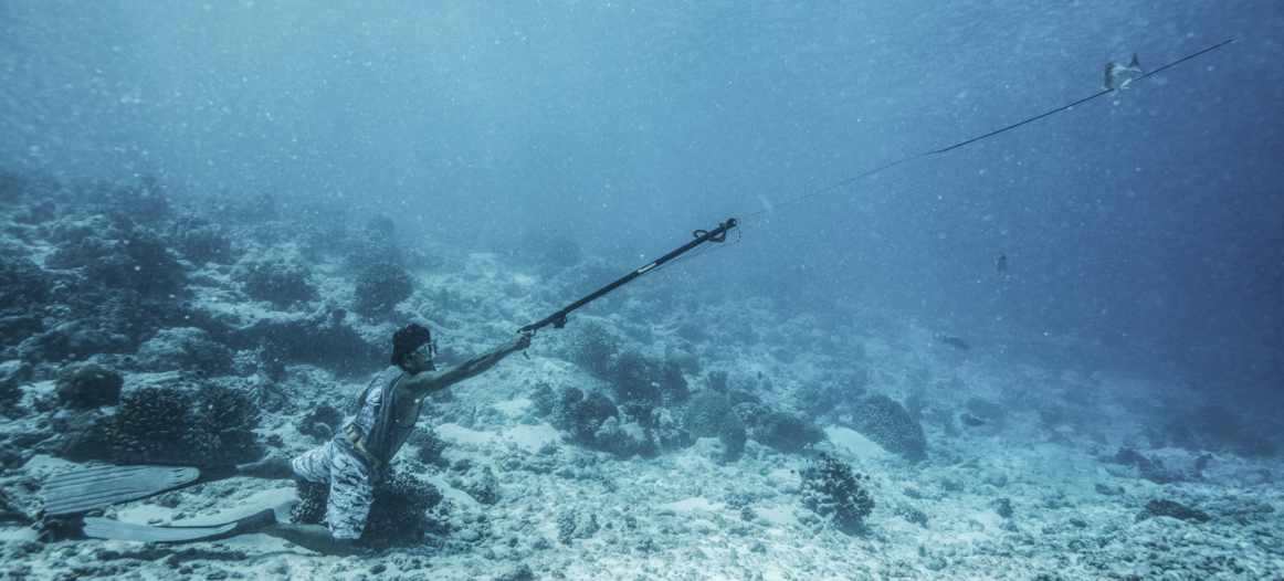 Un peu plus au nord, on accompagne Tatawa lors d'une sortie de pêche. On est loin du hot spot à requin, pourtant ils sont omniprésents.