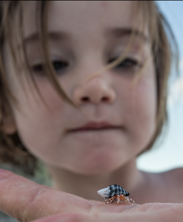 Il y a plein de petites bébêtes chelous qui courent dans le sable.