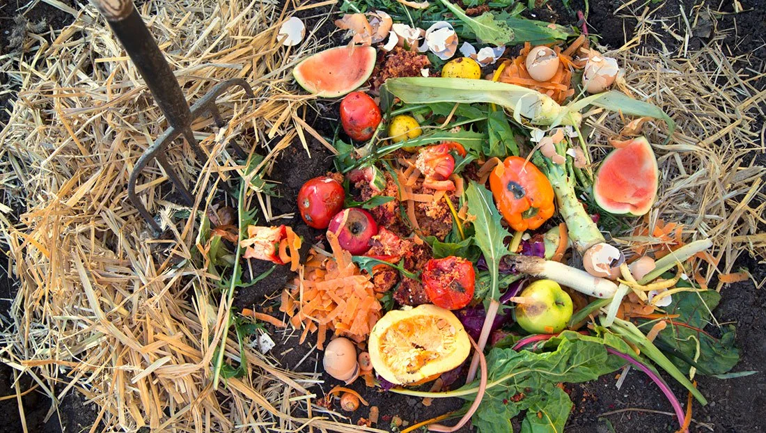 NNM 2018 - Compost.jpg