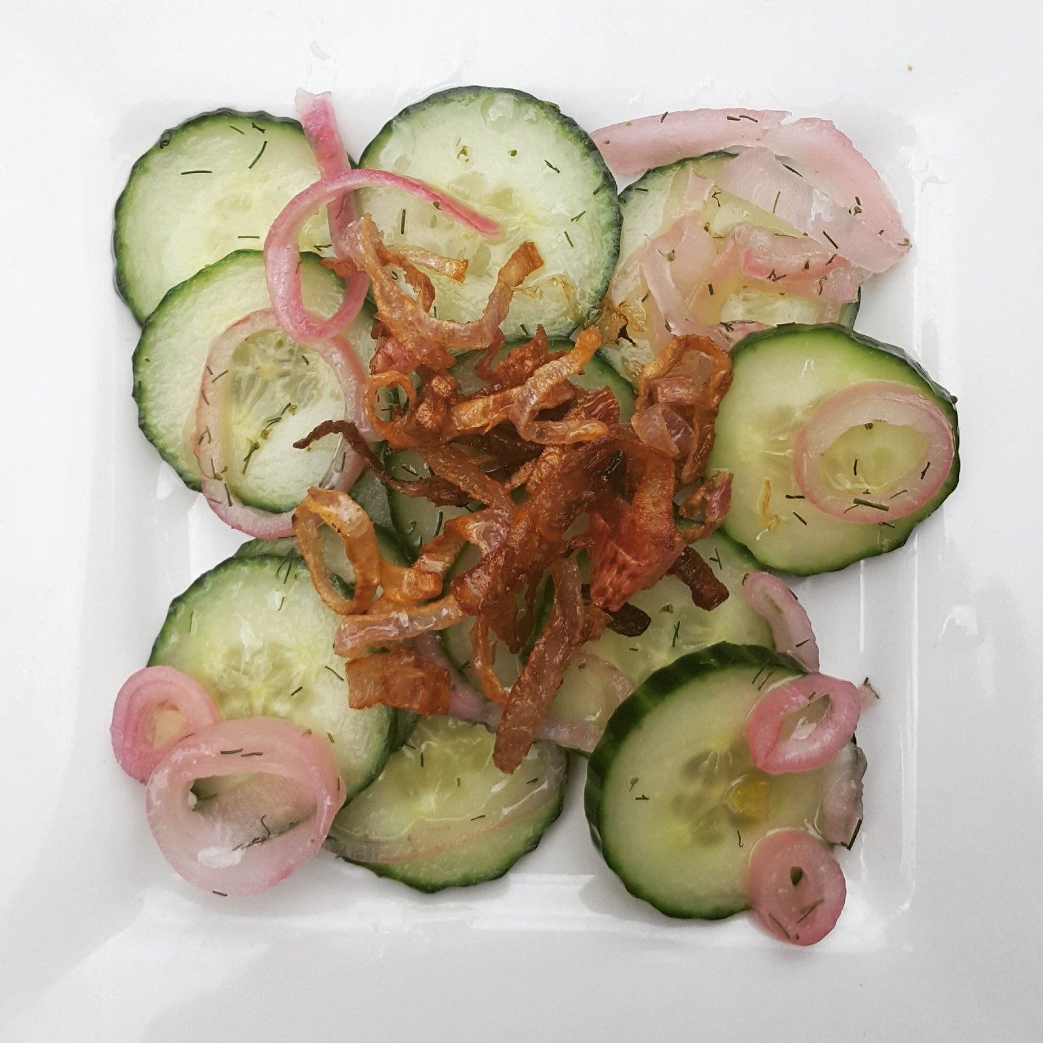 That's A Keeper 9 - Pickled Cucumber and Shallots.jpg