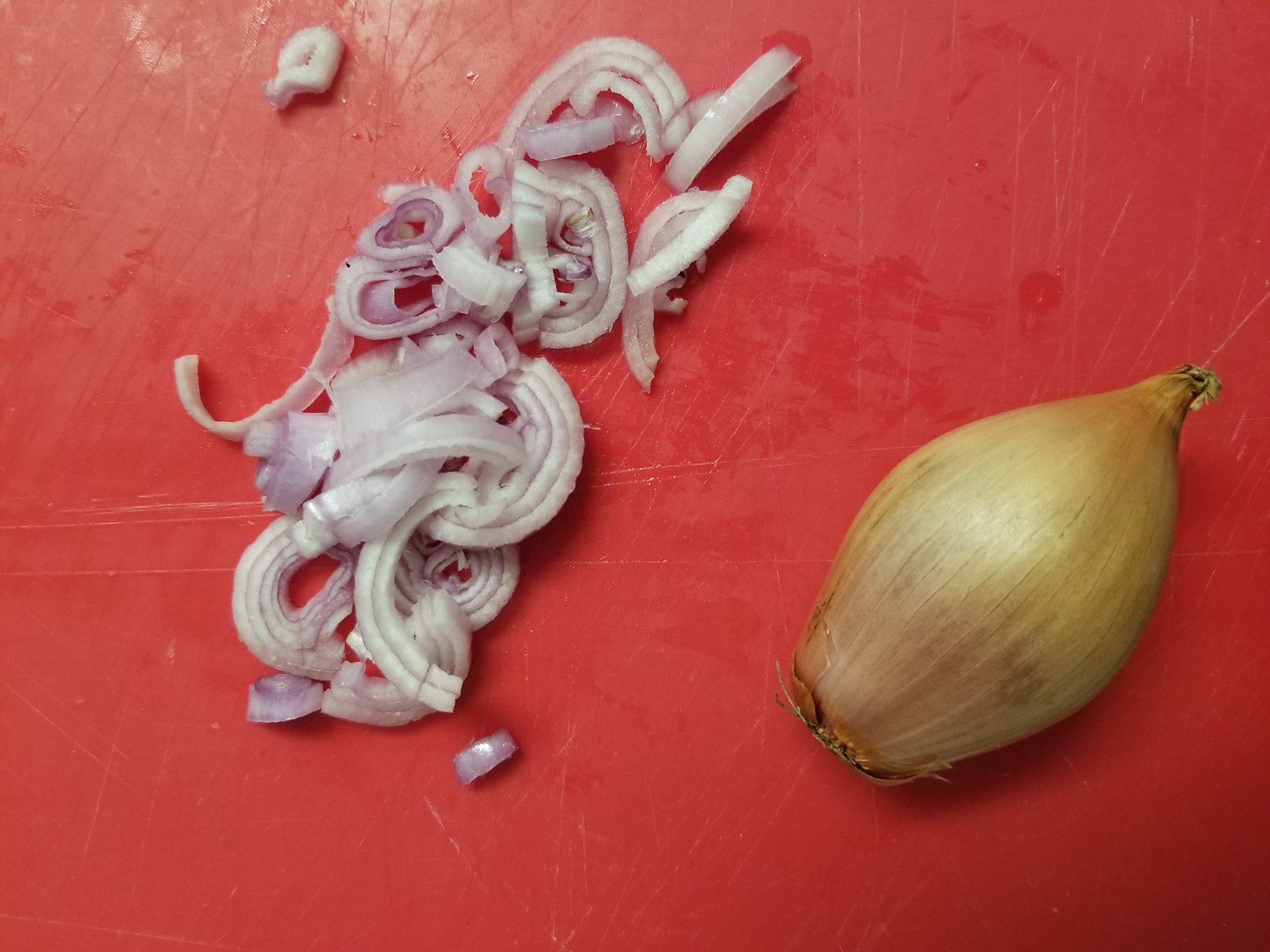 Yes, You Can Cook 2 Shallots.jpg