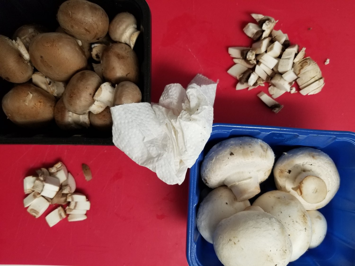 Yes, You Can Cook 3 Mushrooms.jpg