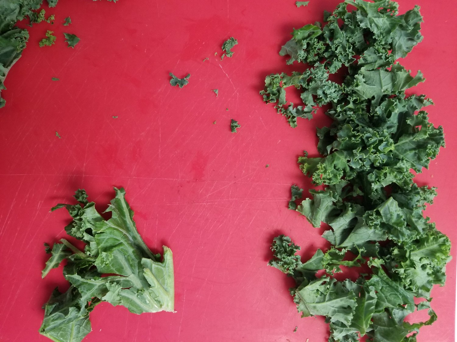 Yes, You Can Cook - Kale.jpg