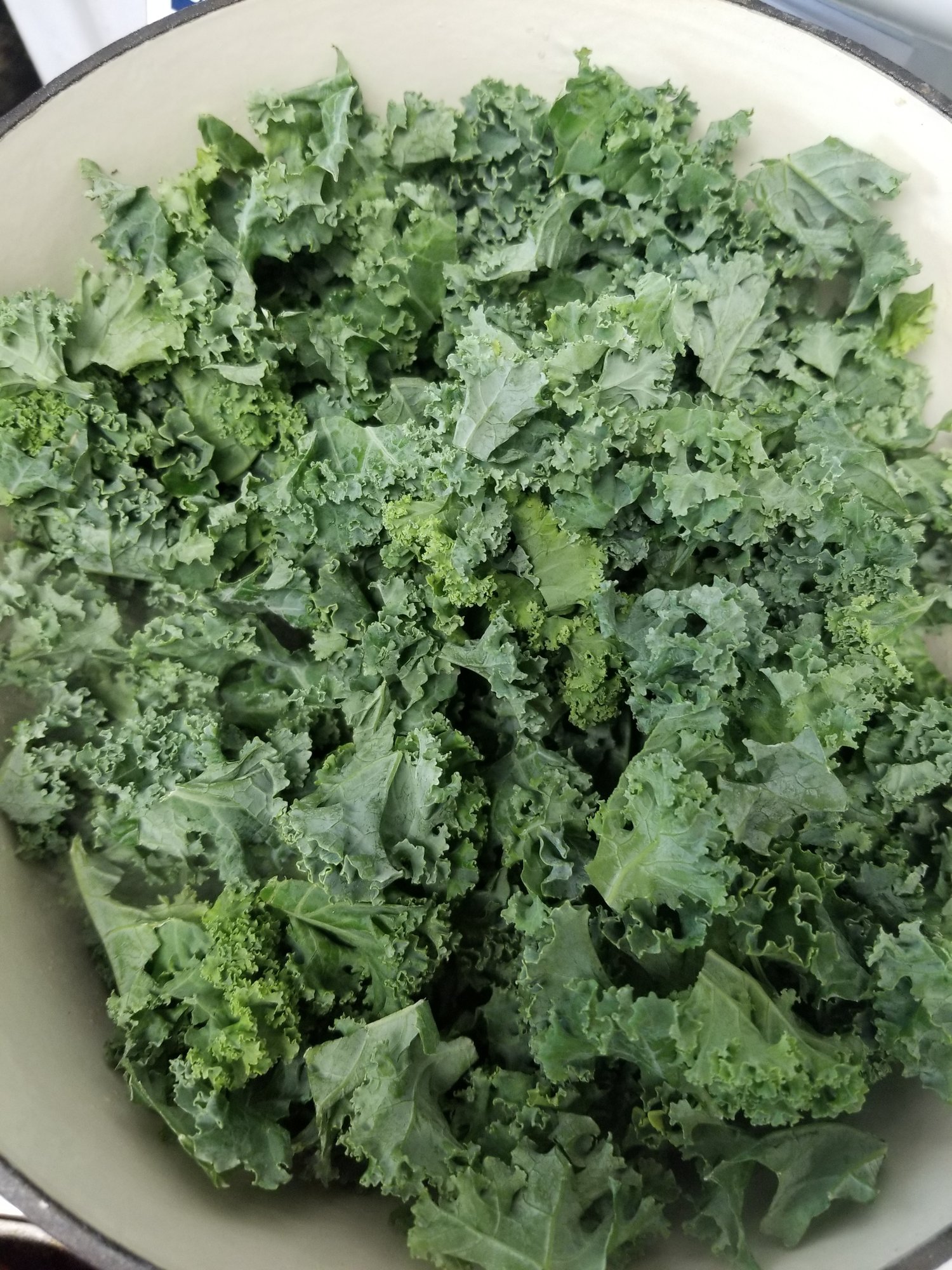 Yes, You Can Cook - All the Kale.jpg