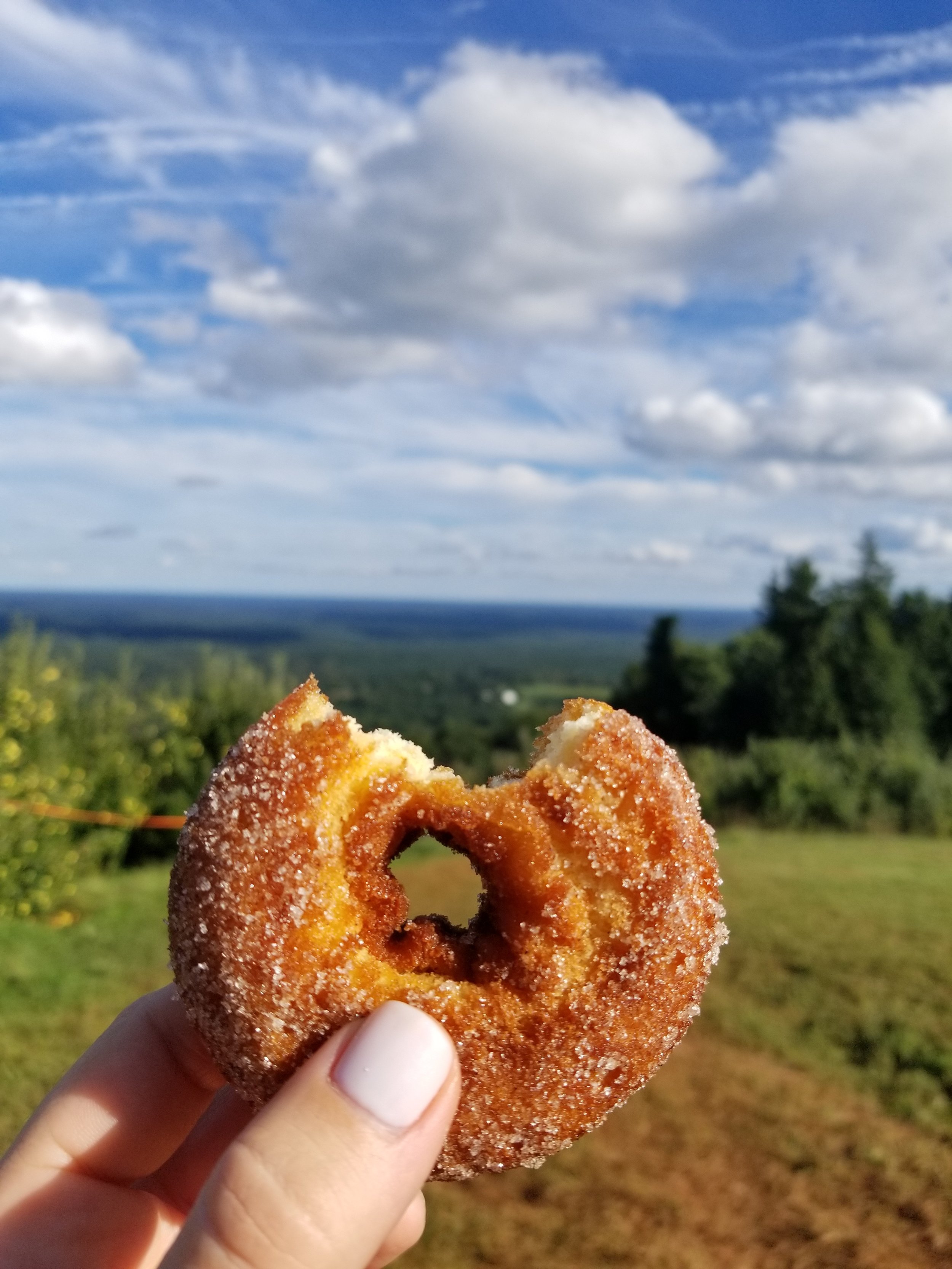 October 1st - Cider Doughnut.jpg