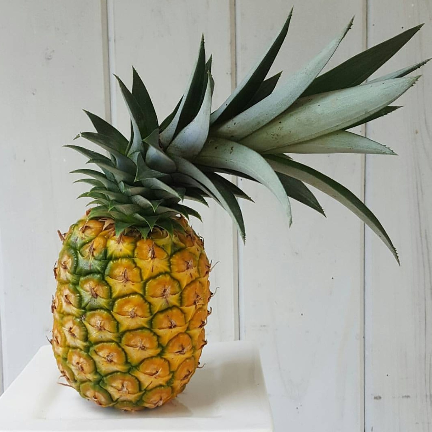 September At A Glance - Pineapple.jpg