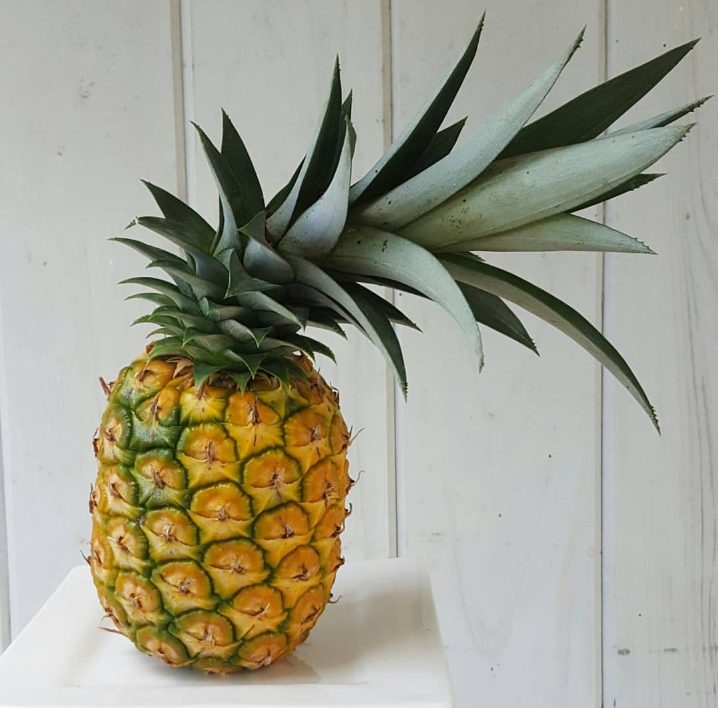 #TeamPineapple