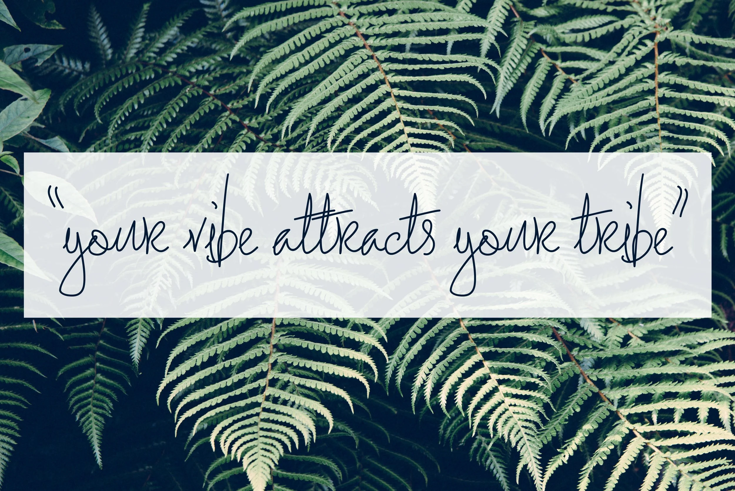 What I've Learned Along The Way - your-vibe-attracts-your-tribe-header-images.jpg