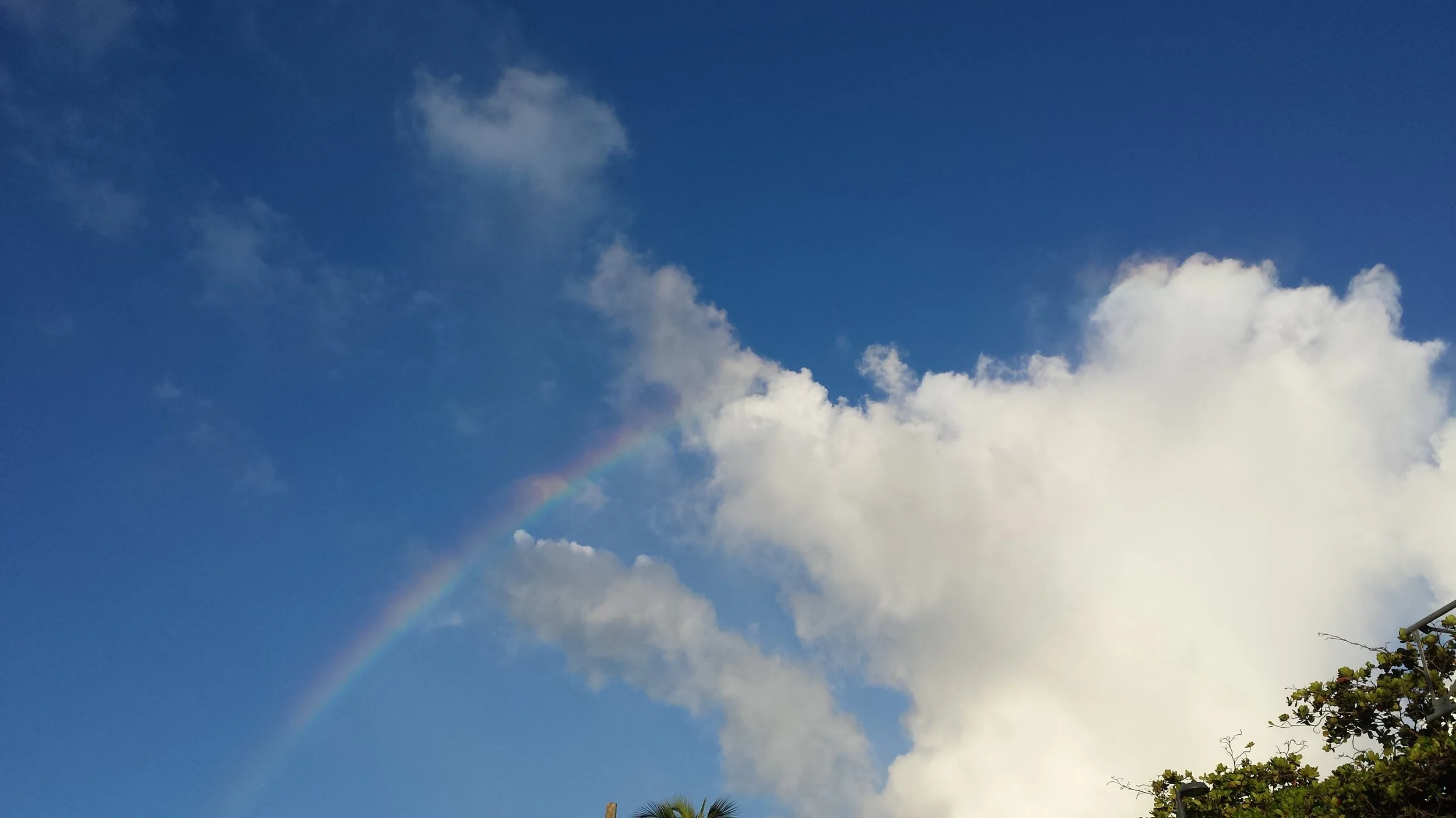 Half Or Full On Crazy - Rainbow.jpg
