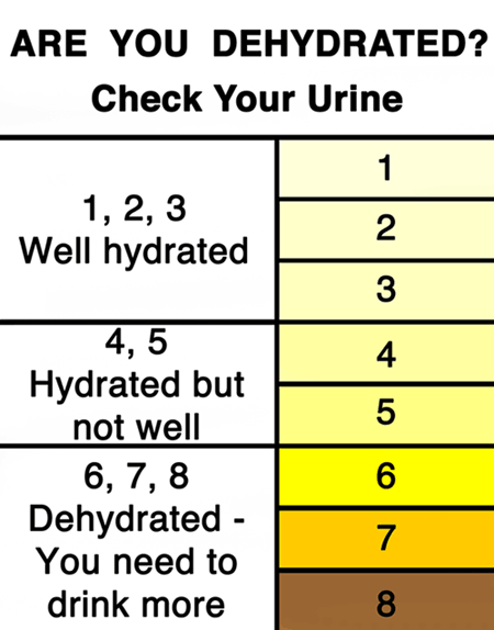 Summa-time! - urine hydration.gif