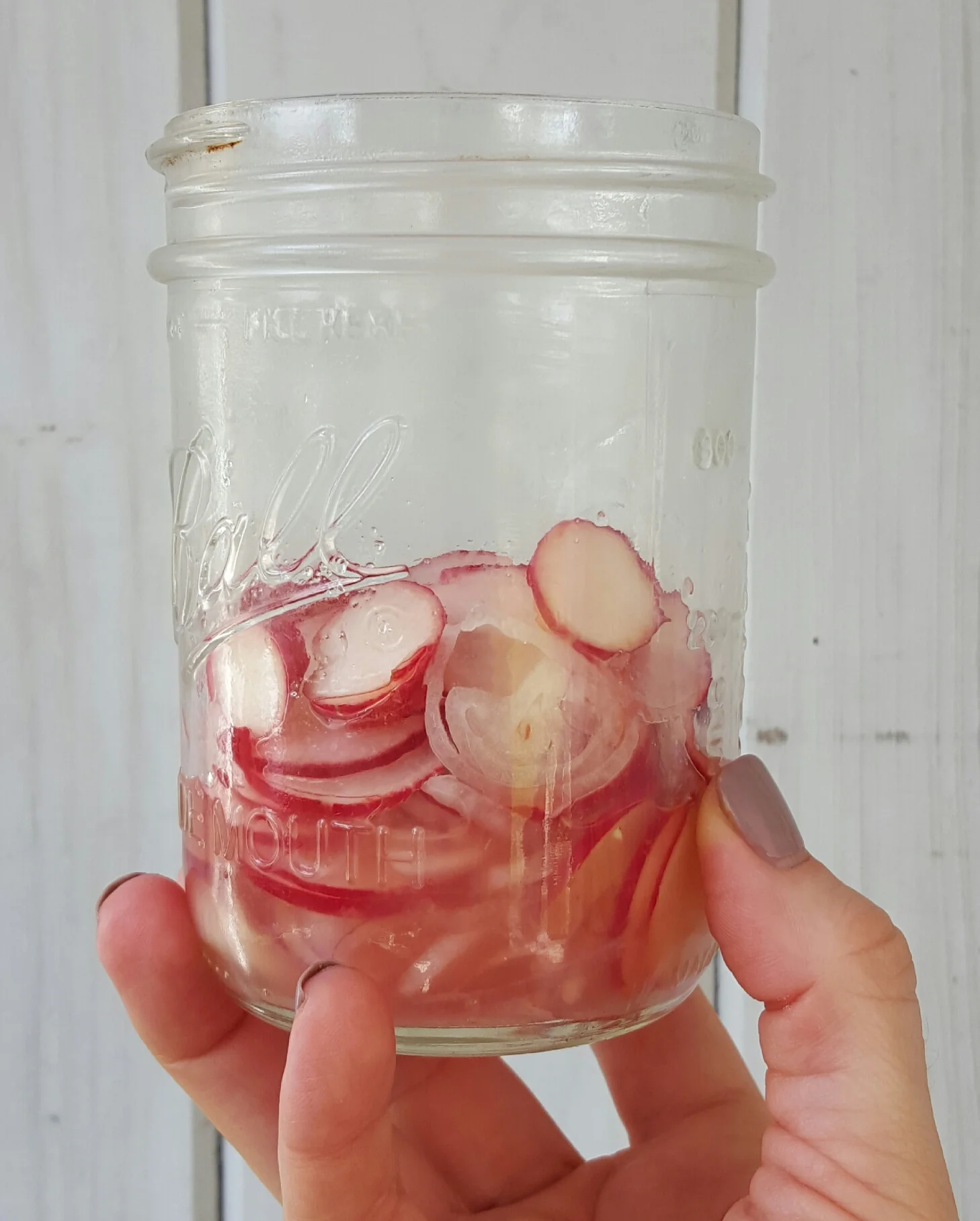 Homemade - Pickled Radish.jpg