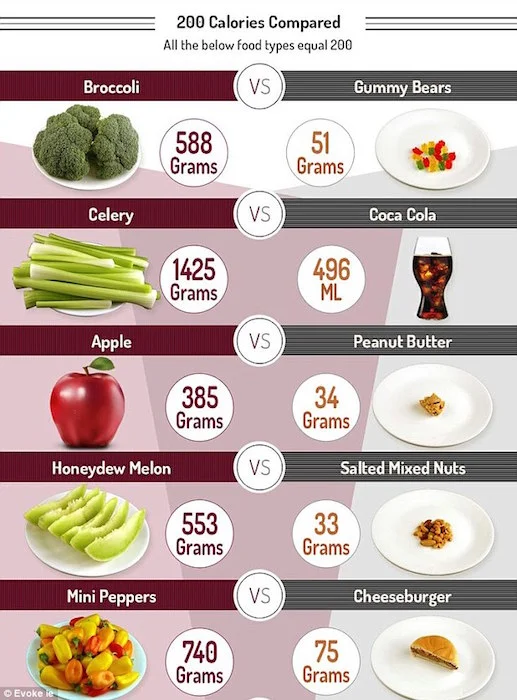 A Calorie Is A Calorie - Or Is It - Calories compared.jpg
