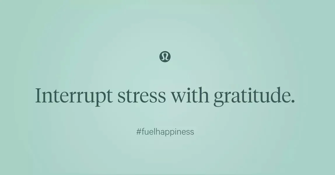 Fuel Happiness - Interrupt stress with gratitude.jpg