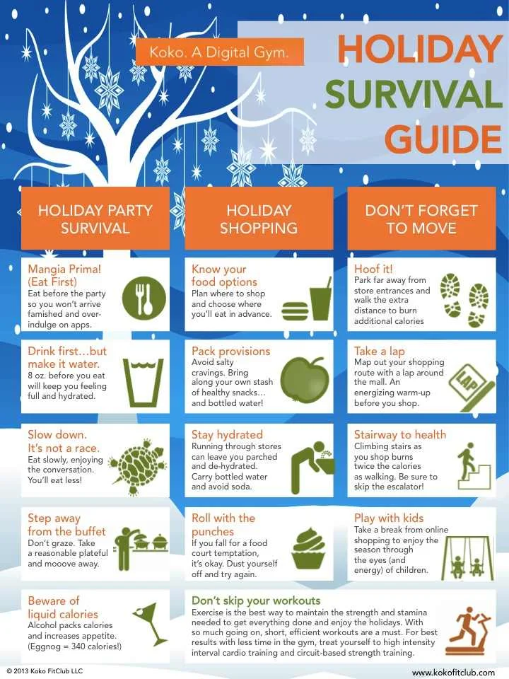 The Holidaze - Holiday Survival Guide.jpg