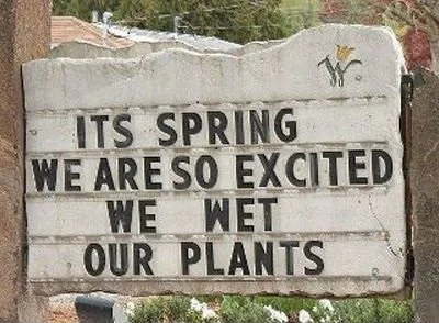 Growth & Renewal - Spring.jpg