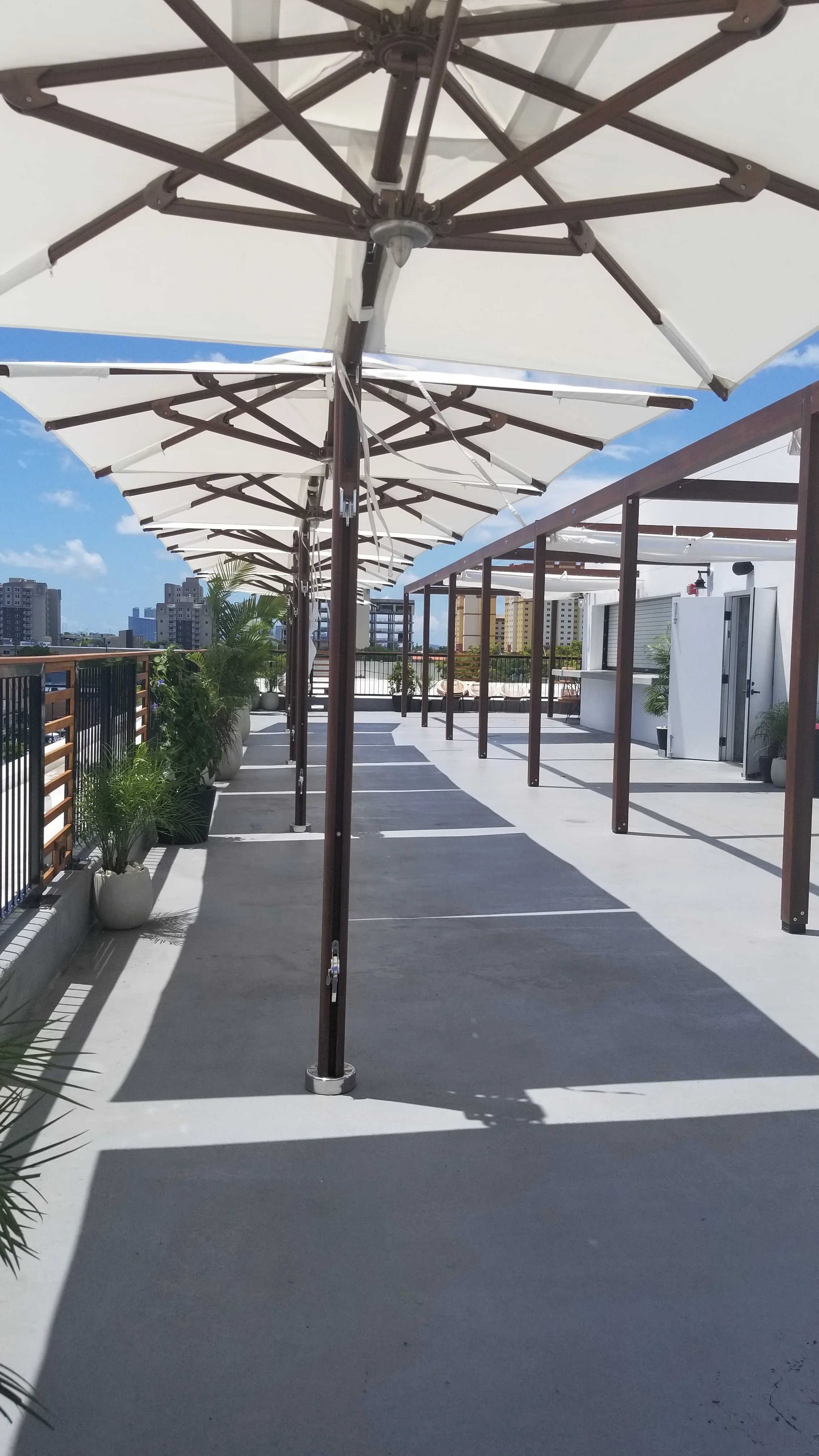 Miami's Food Halls - Rooftop.jpg