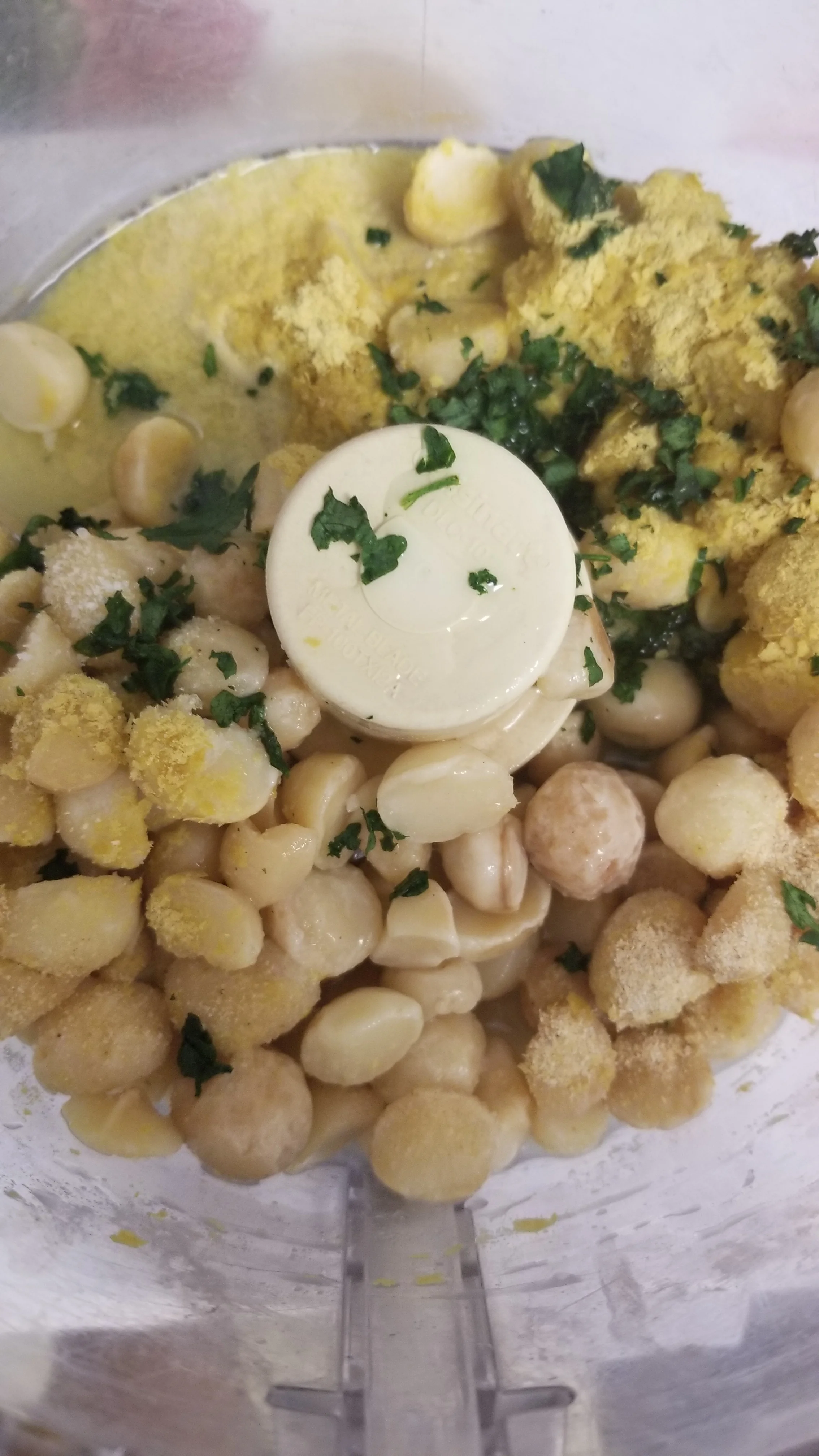 An Alternative To Cheese - food processor macadamia.jpg