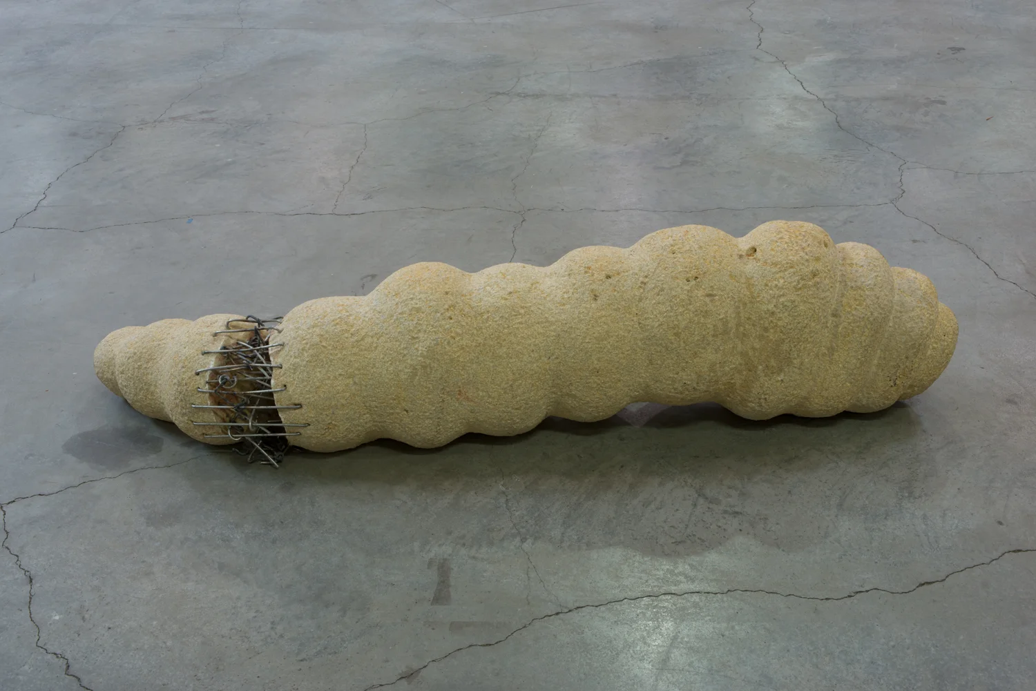 Coquillage