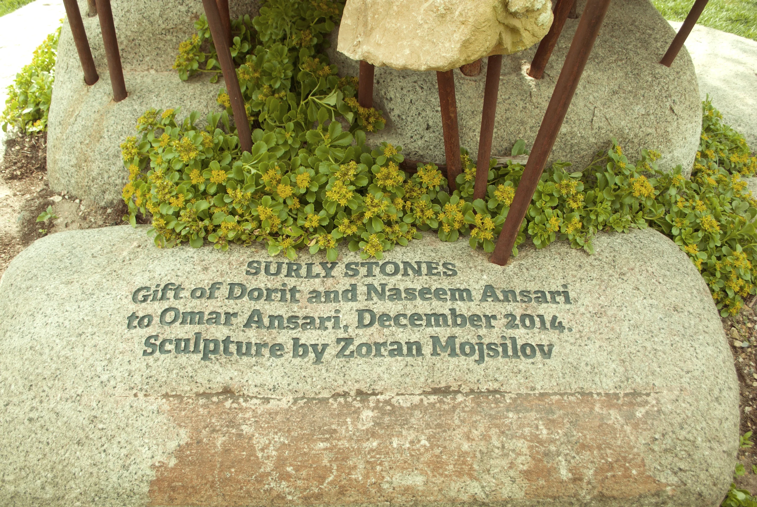 Surly Stones Dedication