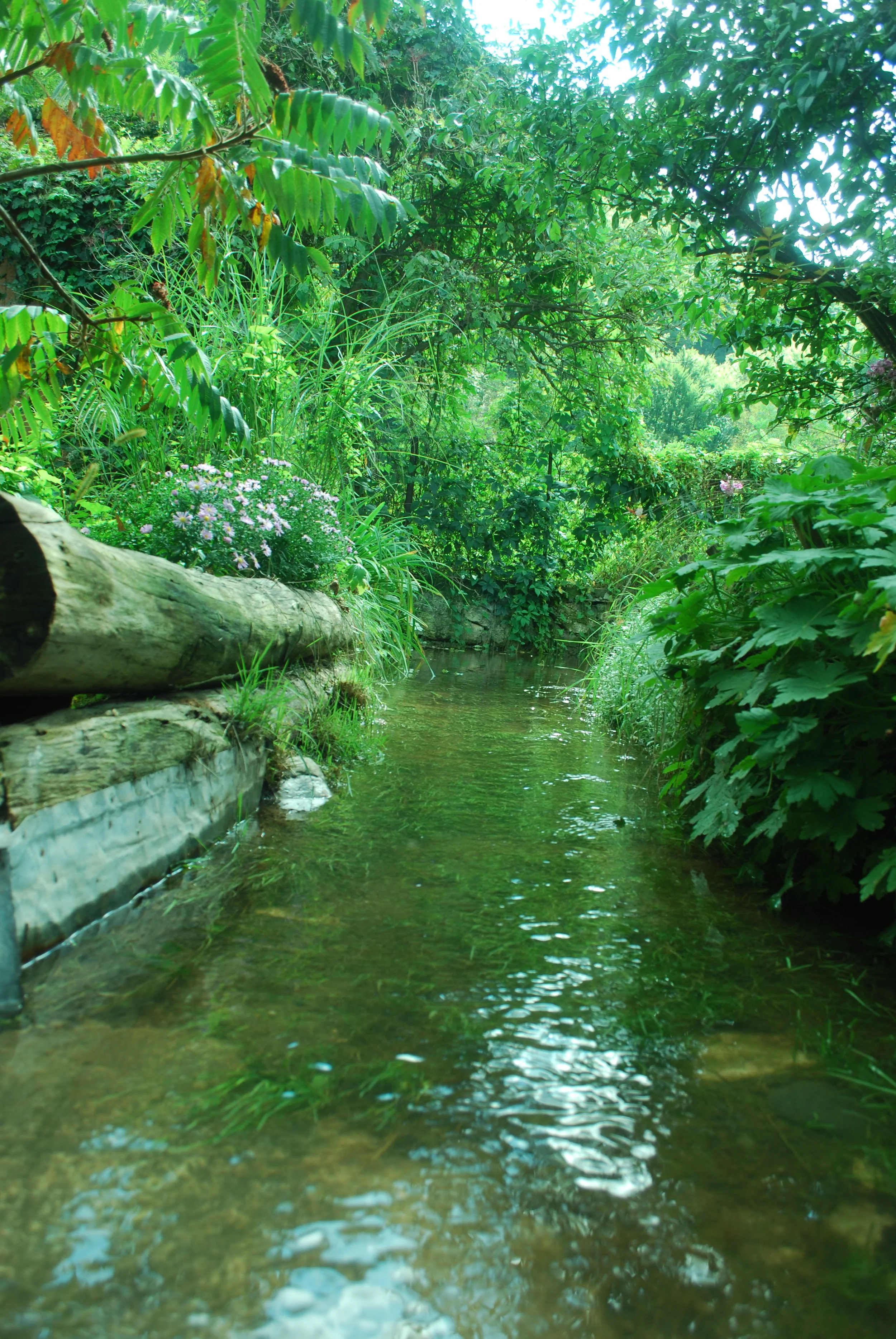 Canal along Jerma River