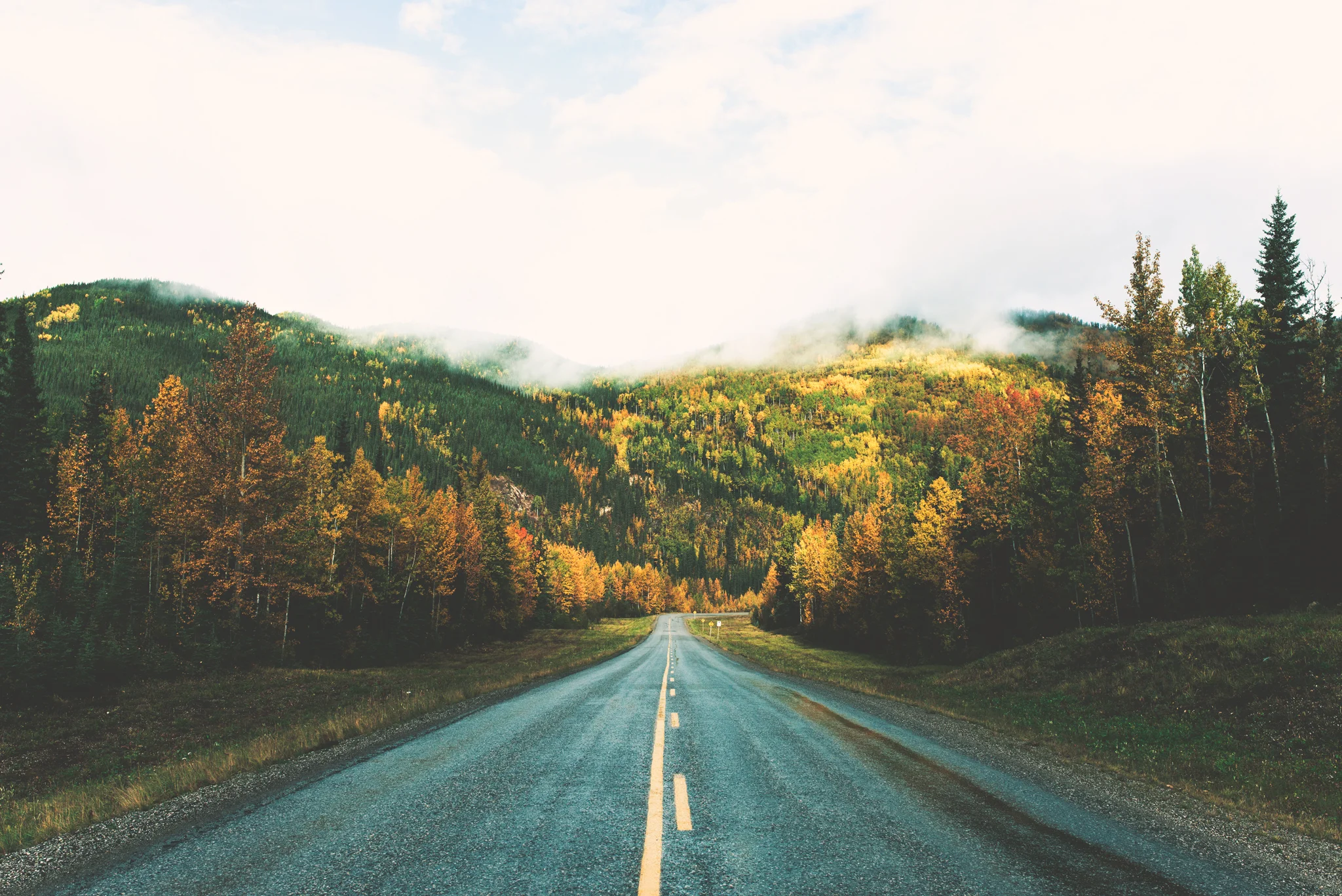 BC_Road_1w.jpg
