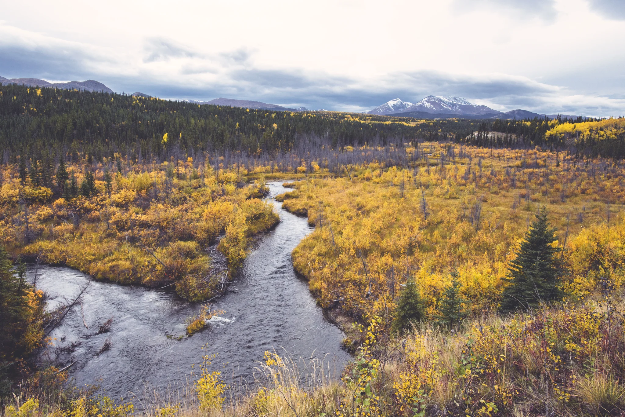 YK_Creek_1w.jpg