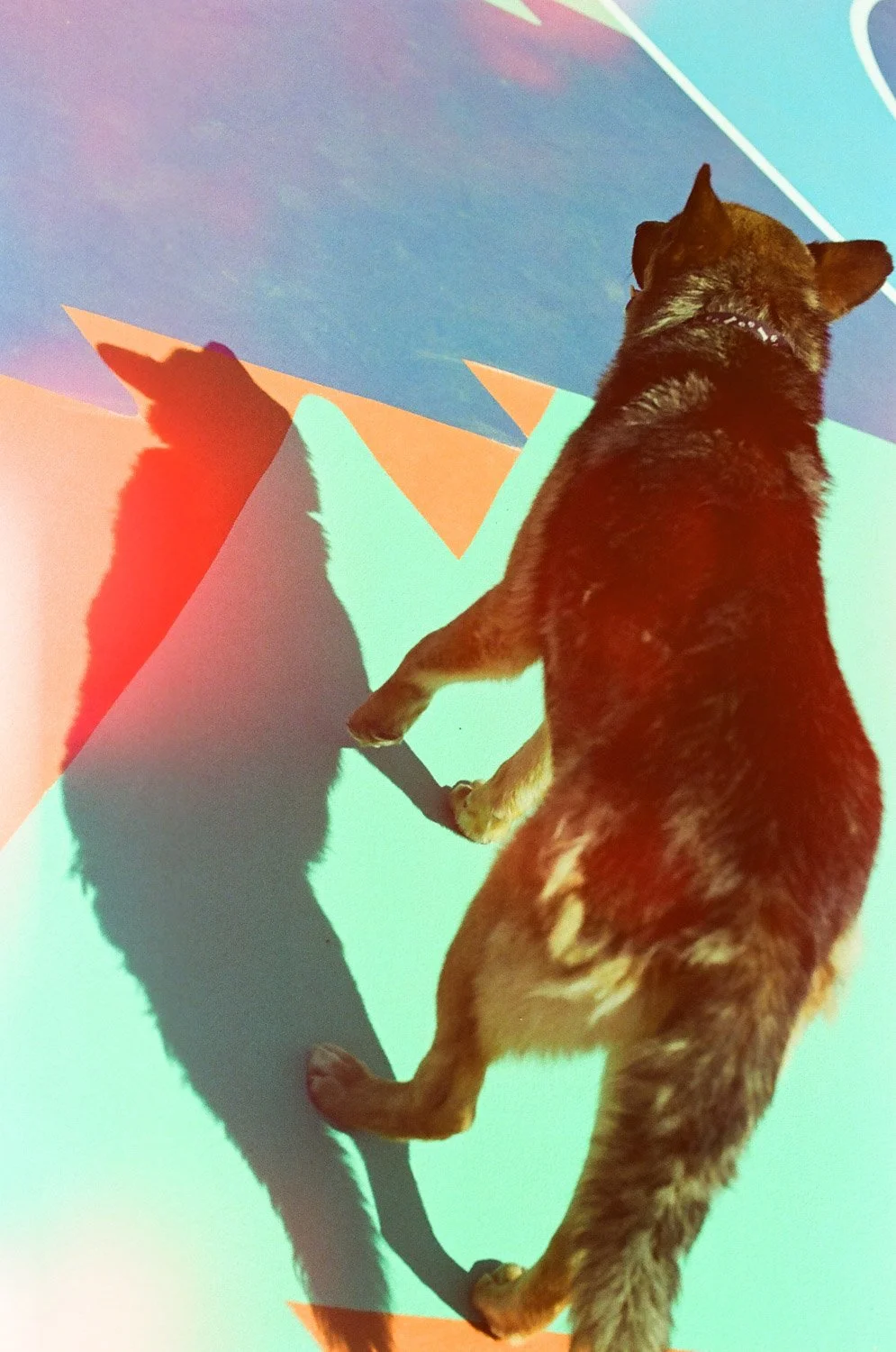 0015_###.jpg