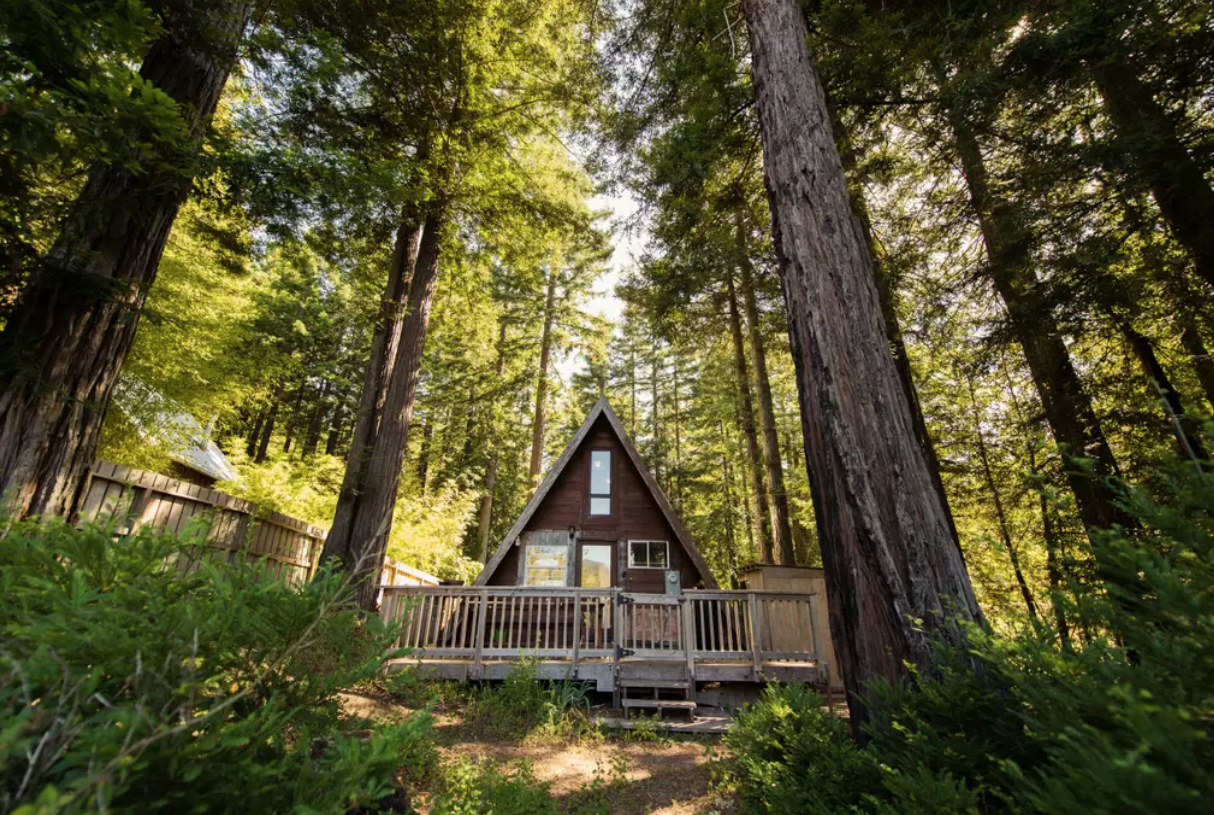 Cosy A-Frame Cabin in the Redwoods - Cazadero .png
