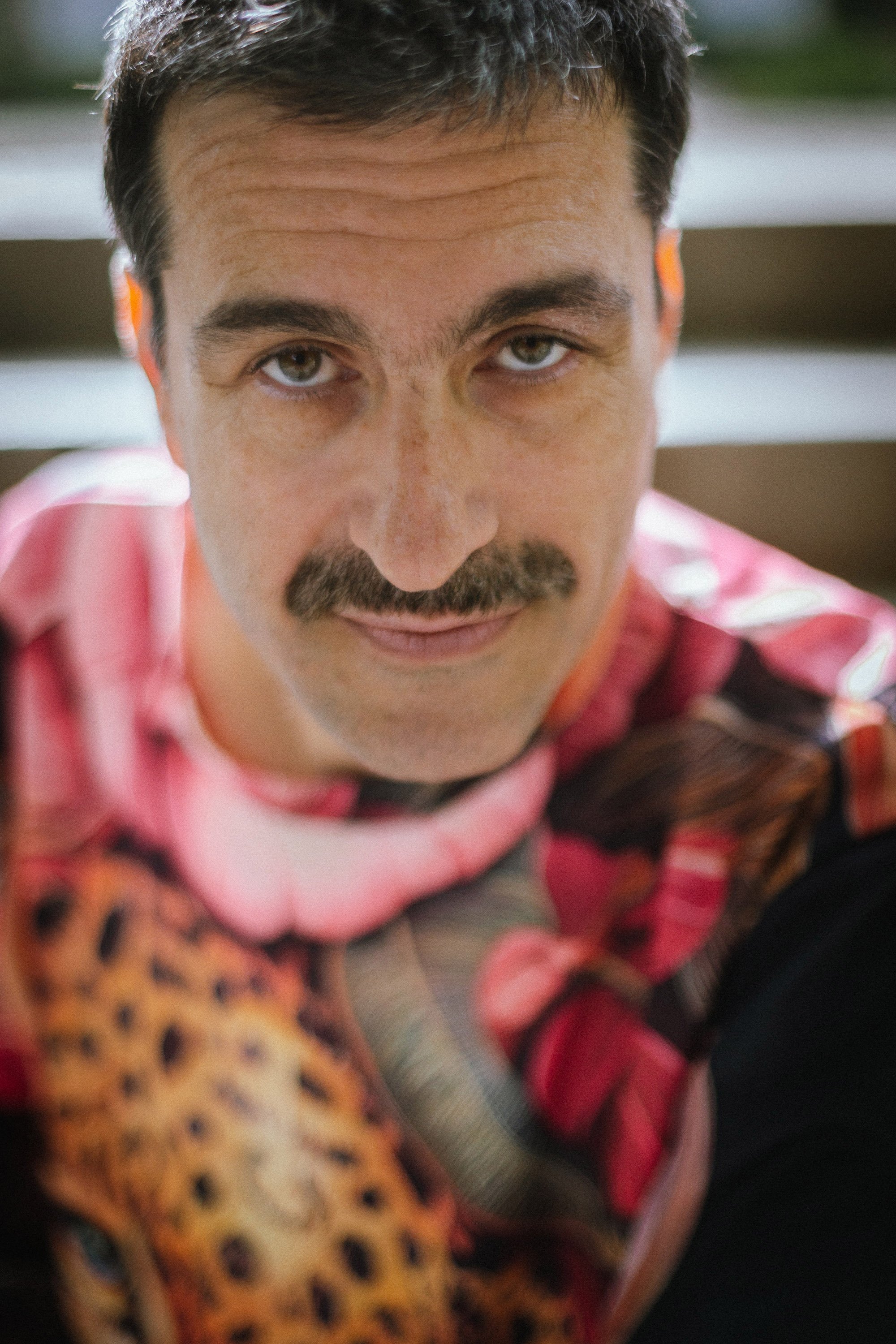 Levy_by Noam Rosenthal 11.jpg