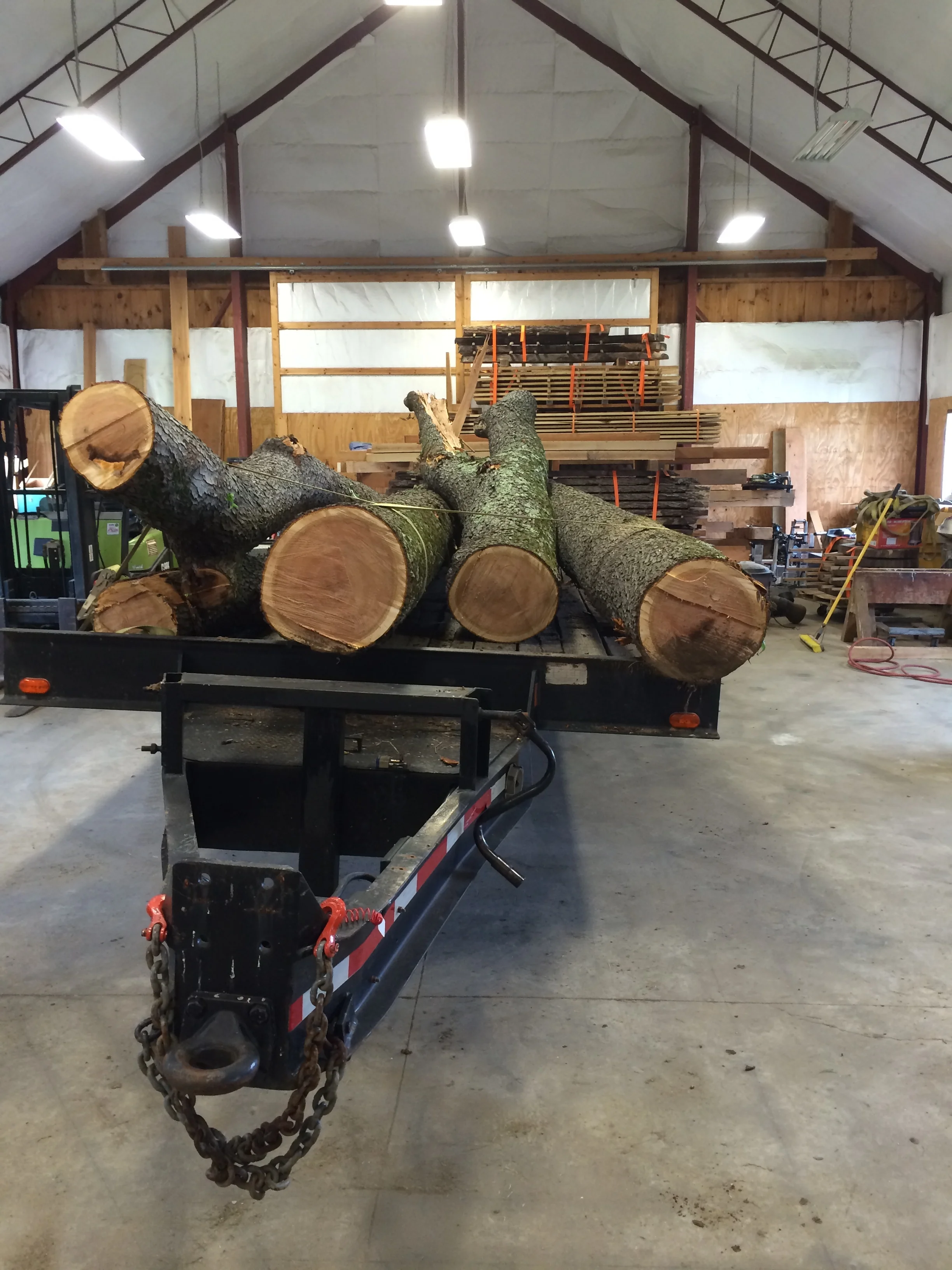In this pic, the 1st and 3rd from the right are the 2 legs of the forked log.