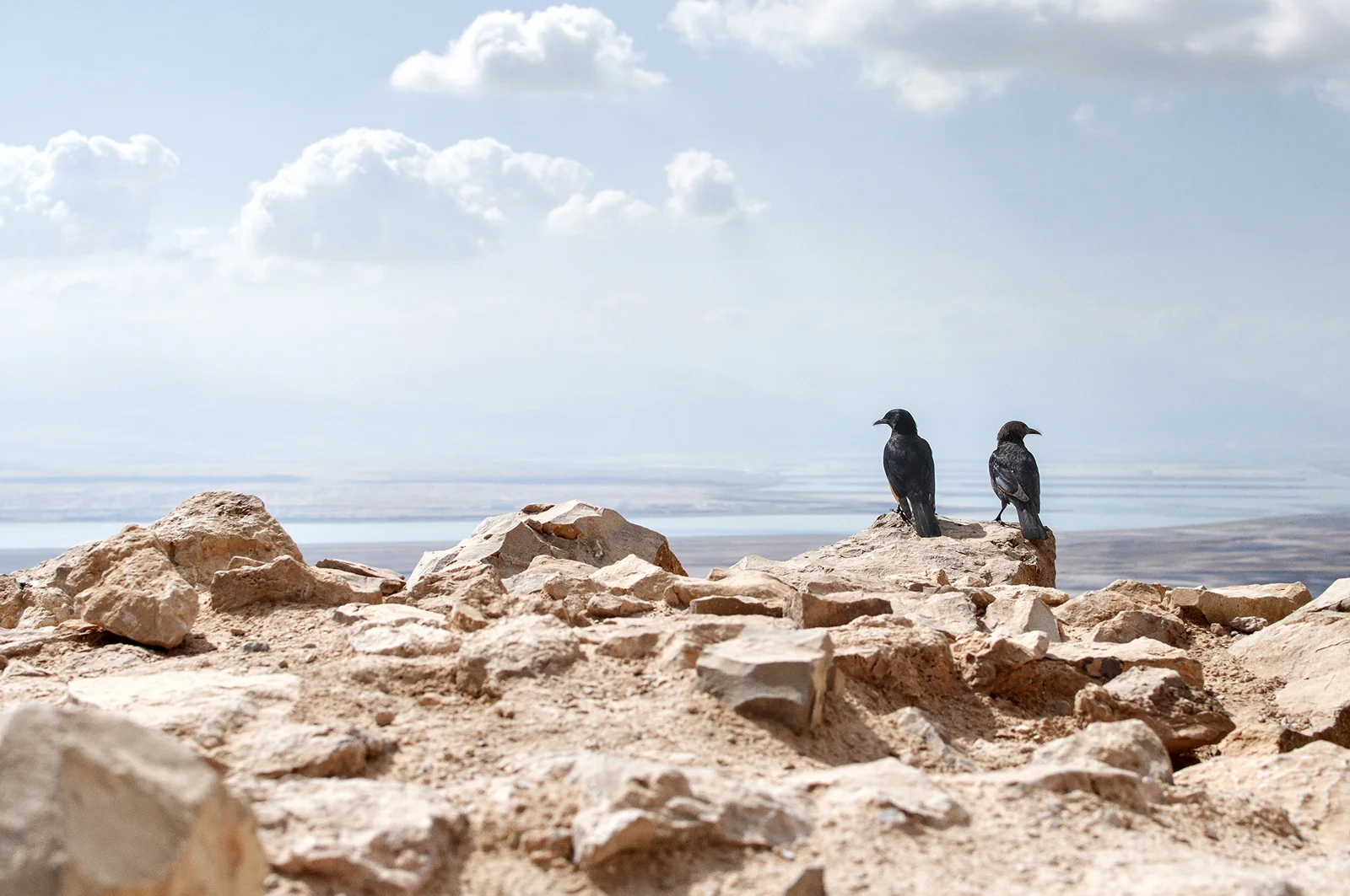 birthright292-web.jpg