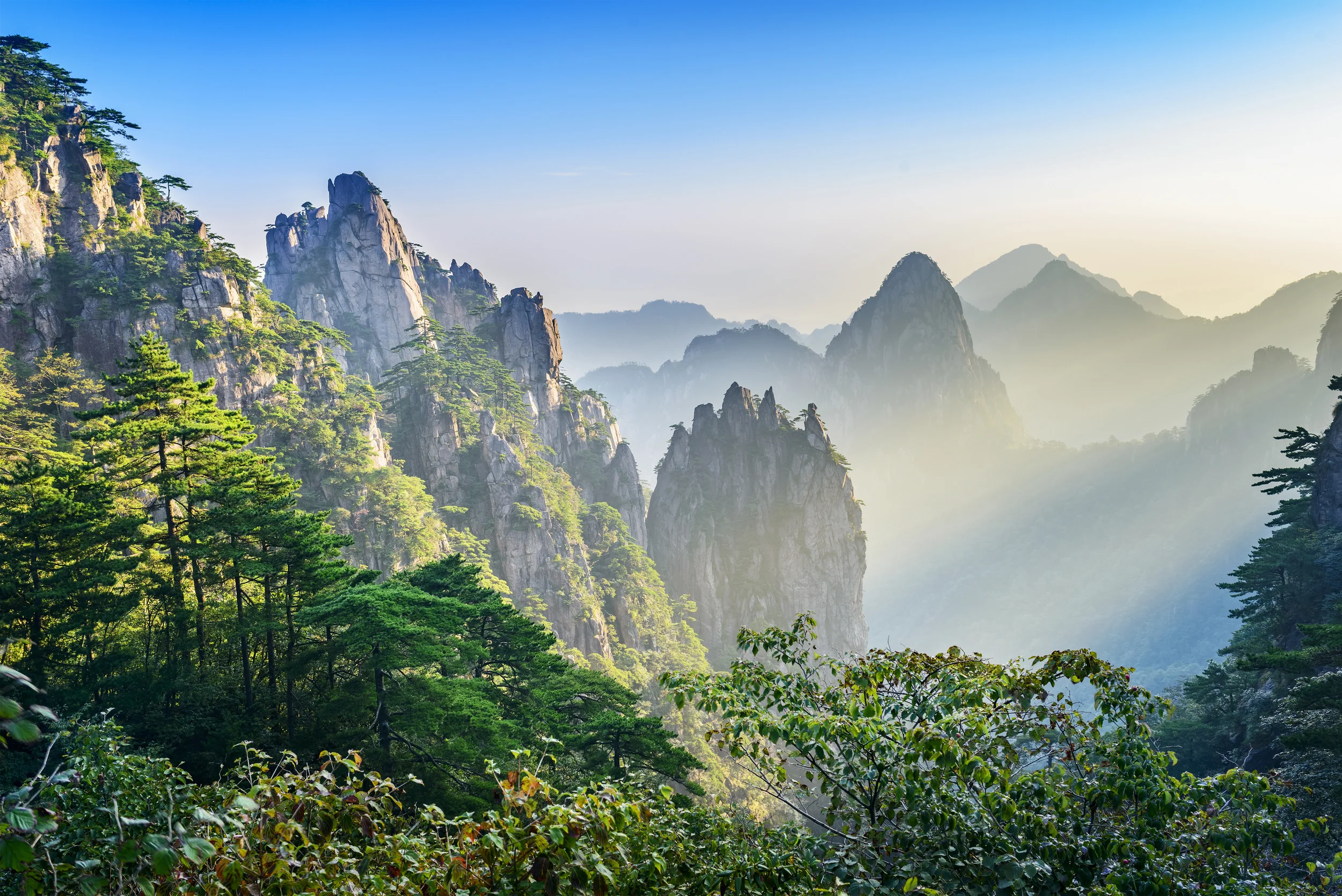 shutterstock_335304902.jpg