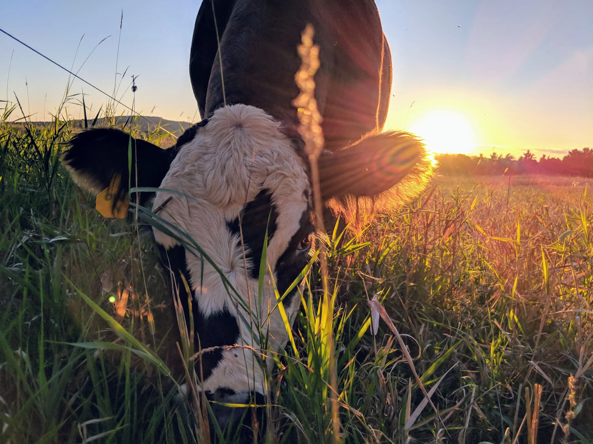MVIMG_20180914_184547.jpg