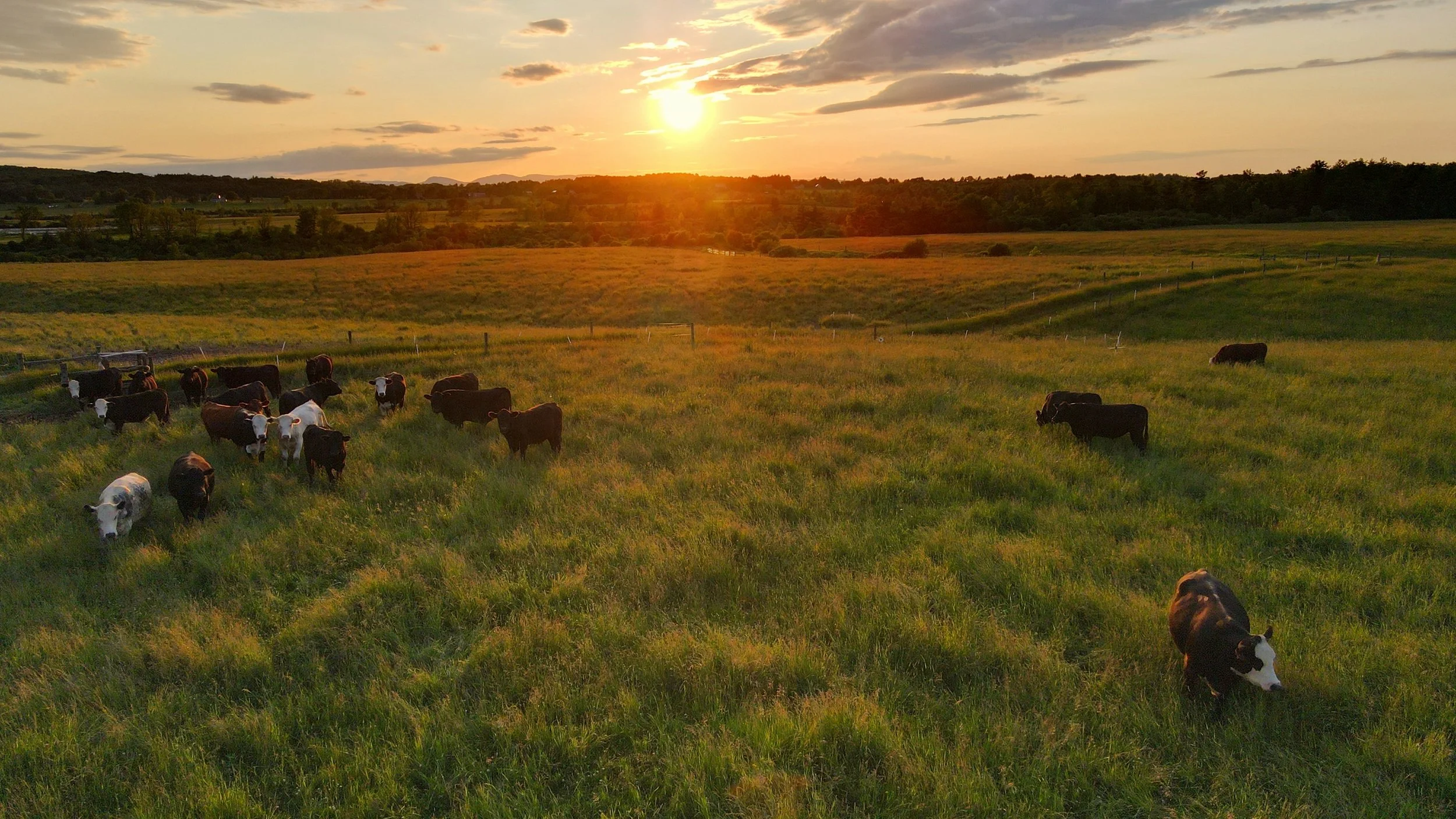 dji_fly_20230619_200732_955_1687219668742_photo.jpg