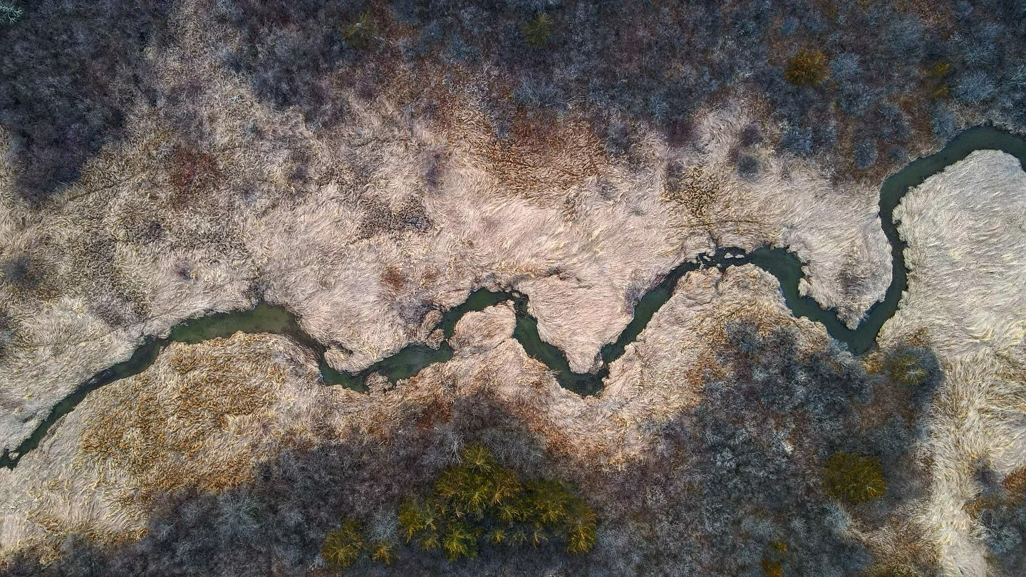 Mud Hollow Brook carving its way west&mdash;where good grazing meets good clear water. 

#dronephotooftheday #dronephotography #dronestagram #watershed #ecology
