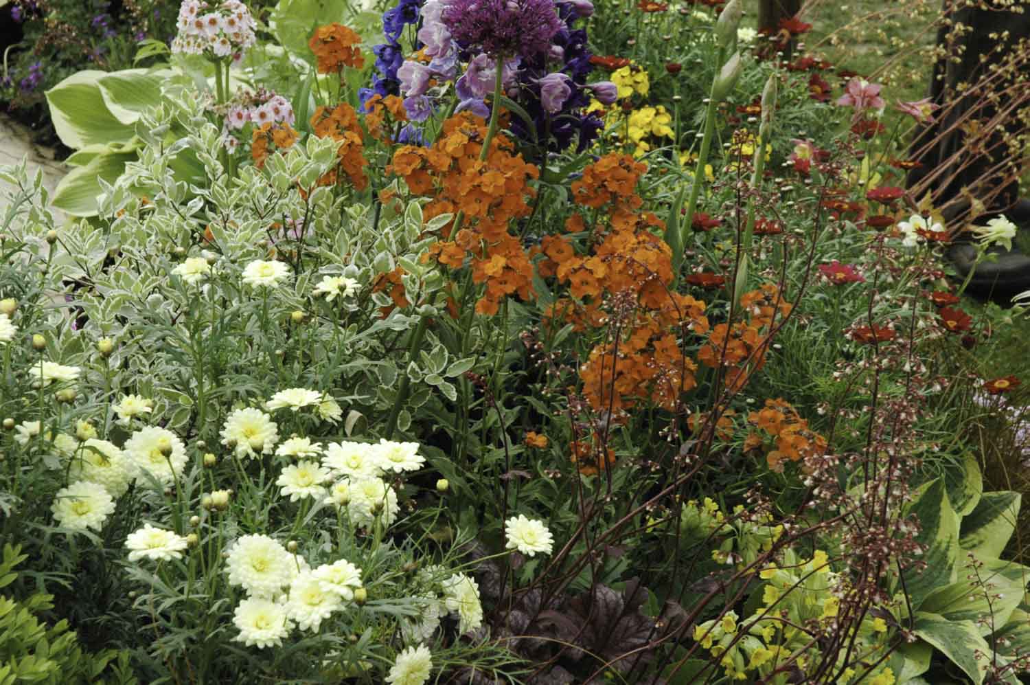 Jack Dunckley RHS Flower Show 2009 Malvern Spring - 5.jpg