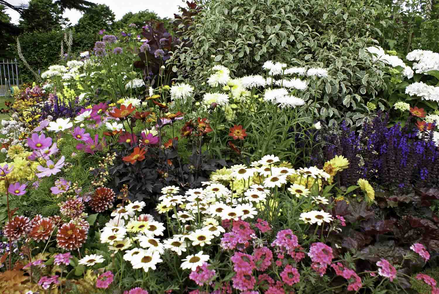 ©Jack Dunckley Landscape Design Garden Design RHS Hampton Court Palace Flower Show 2010 Birchfield Garden-12.jpg