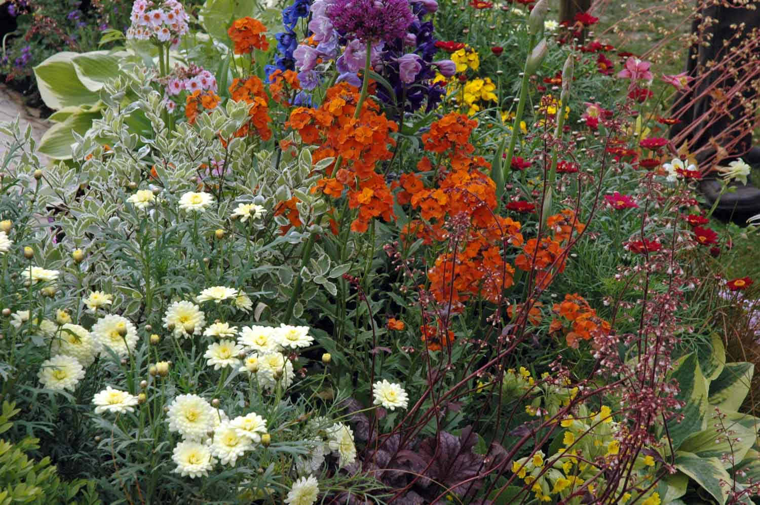 ©Jack Dunckley Award Winning Landscape Designer RHS Flower Show 2009 Malvern Spring-3.jpg