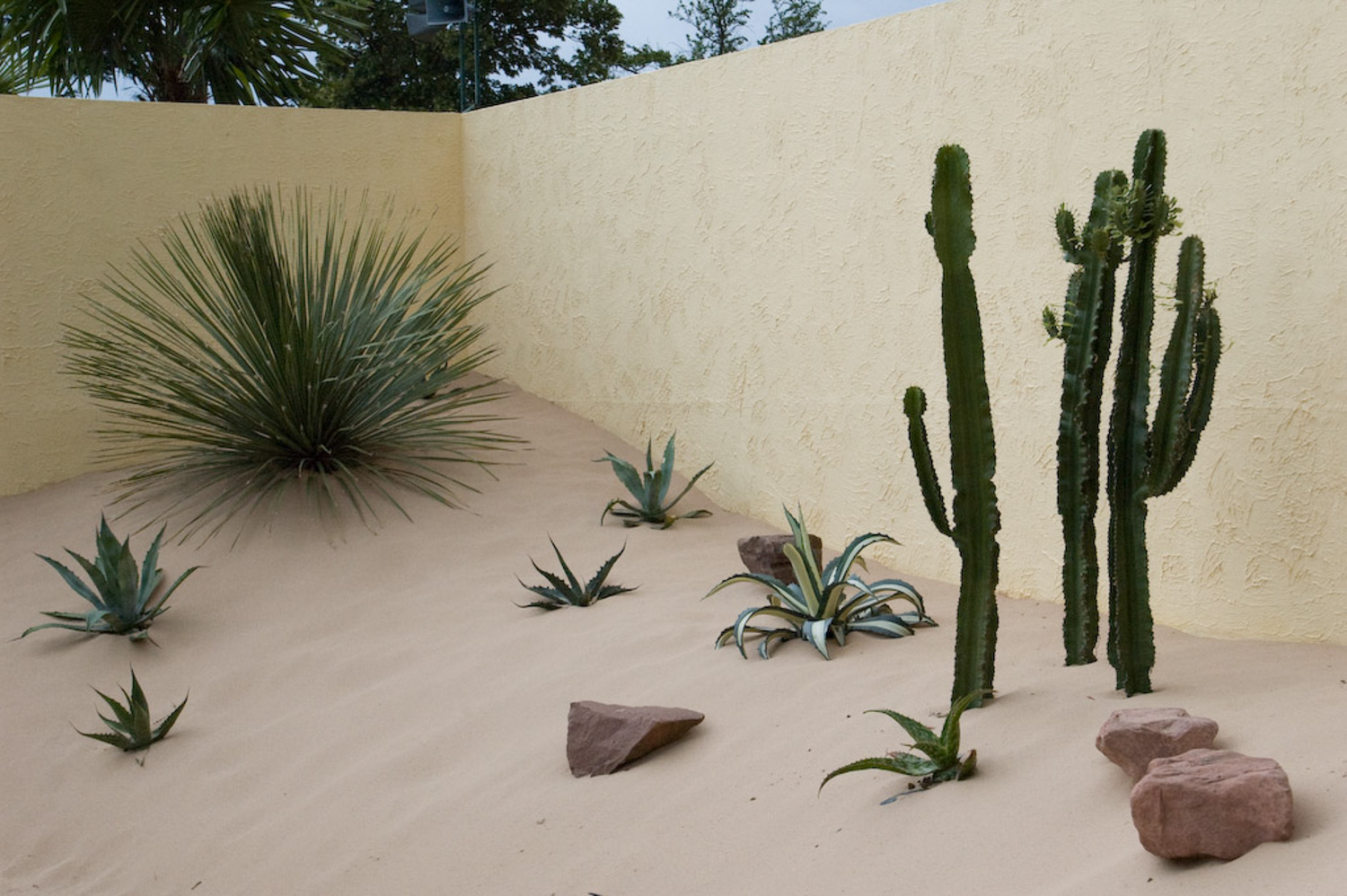 RHS Hampton Court Palce Flower Show Deserts Delight 2009 ©Jack Dunckley-3.jpg