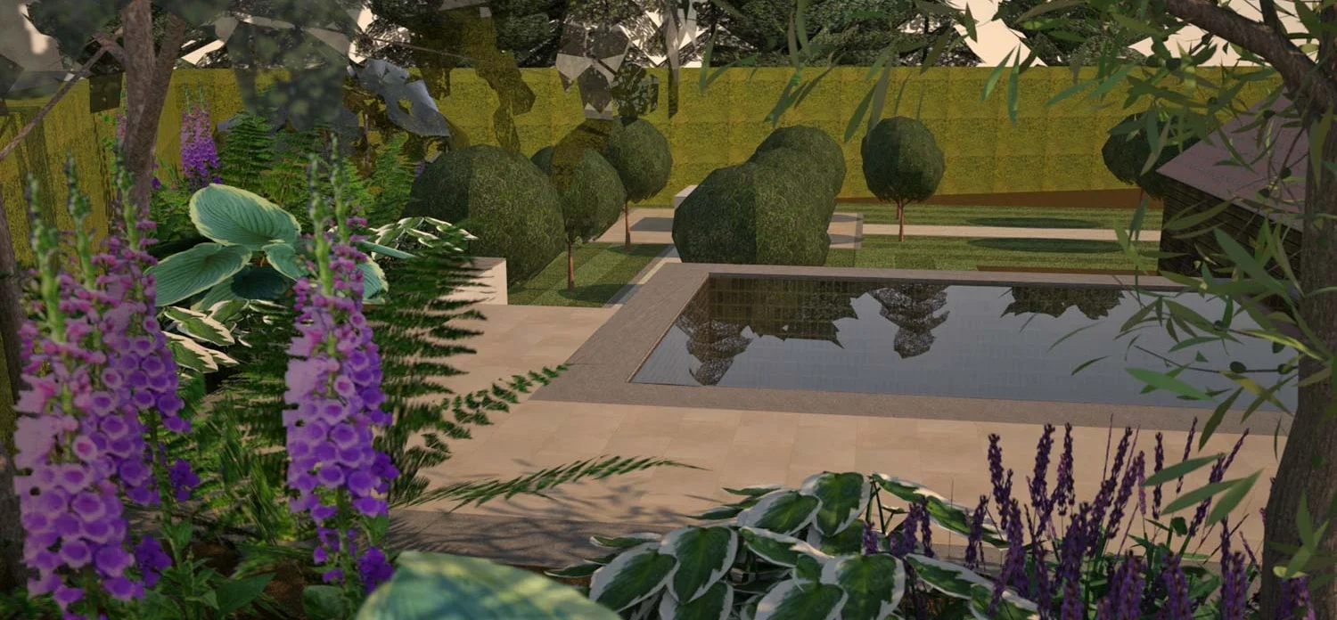 Contemporary Garden