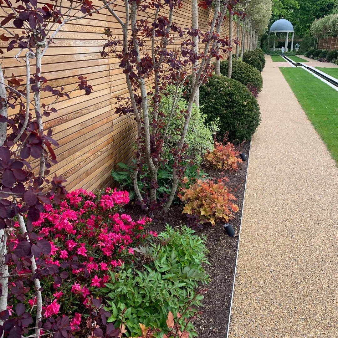 WOW 🤯

Check out the colours in this border planting in Solihull. We wanted to bring a wide variety of colours to run down the side of the rill. They have been beautifully broken up big blocks of materials bringing in more simplistic colours from:

