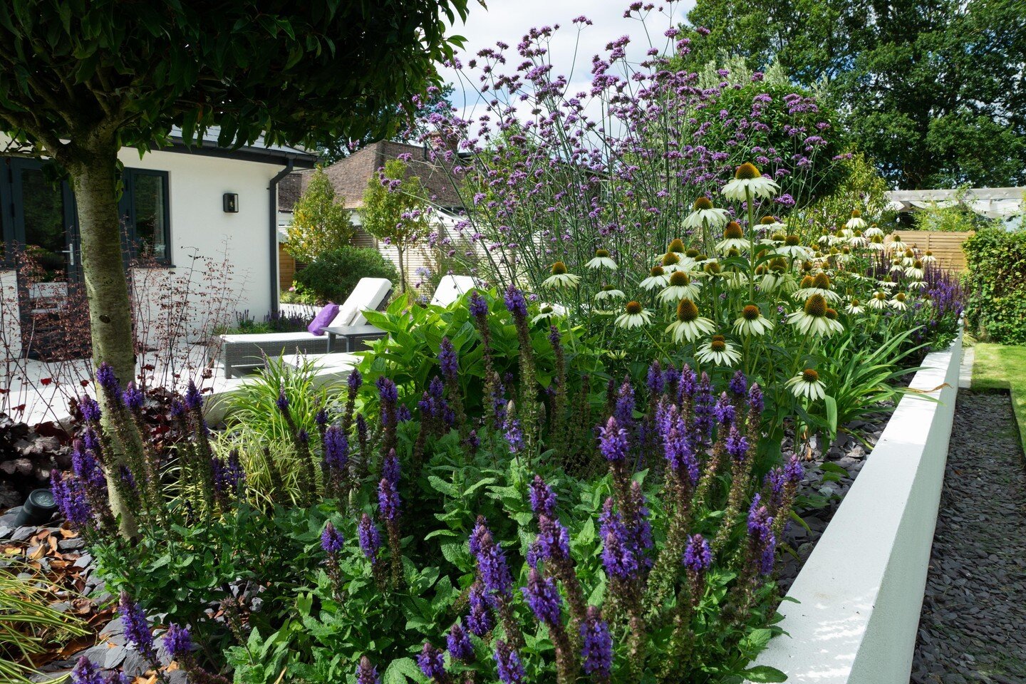 A bed packed full of excitement and colour! 

These white rendered planting beds look great with:
&bull;	Salvias 🌱
&bull;	Heuchera 'Plum Pudding'
&bull;	Carex ever gold 🌿
&bull;	verbena bonariensis 
&bull;	Echinacea purpurea 'White Swan' 🌻

#lands