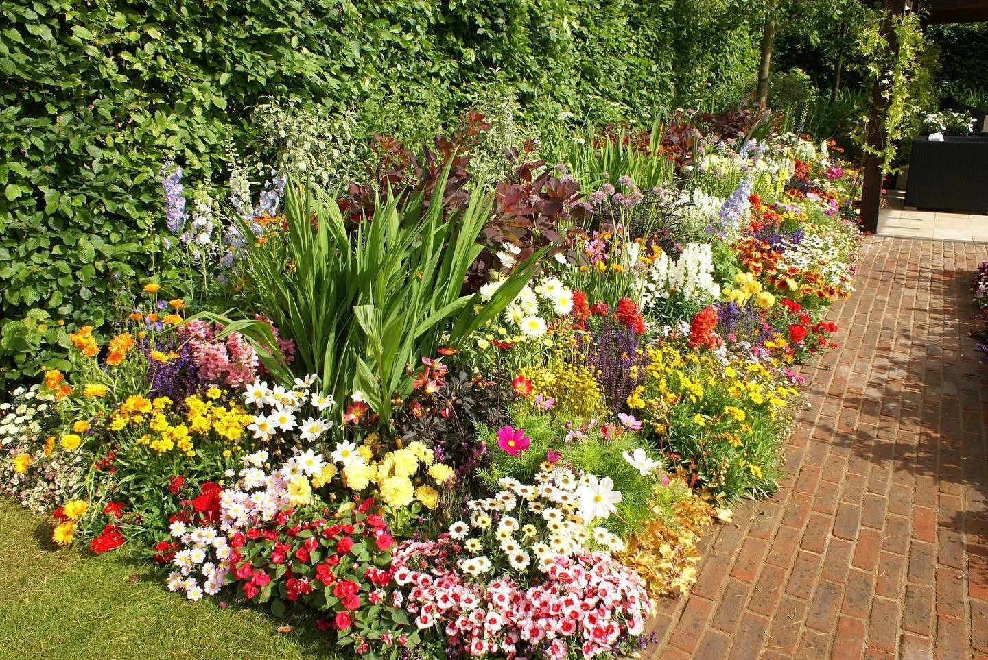 What an incredible September and beginning of October we are having weather wise! So much colour is still out to see. Here is a flashback to my RHS Hampton Court Garden I designed to showcase some of the beautiful plants you can have in your garden t